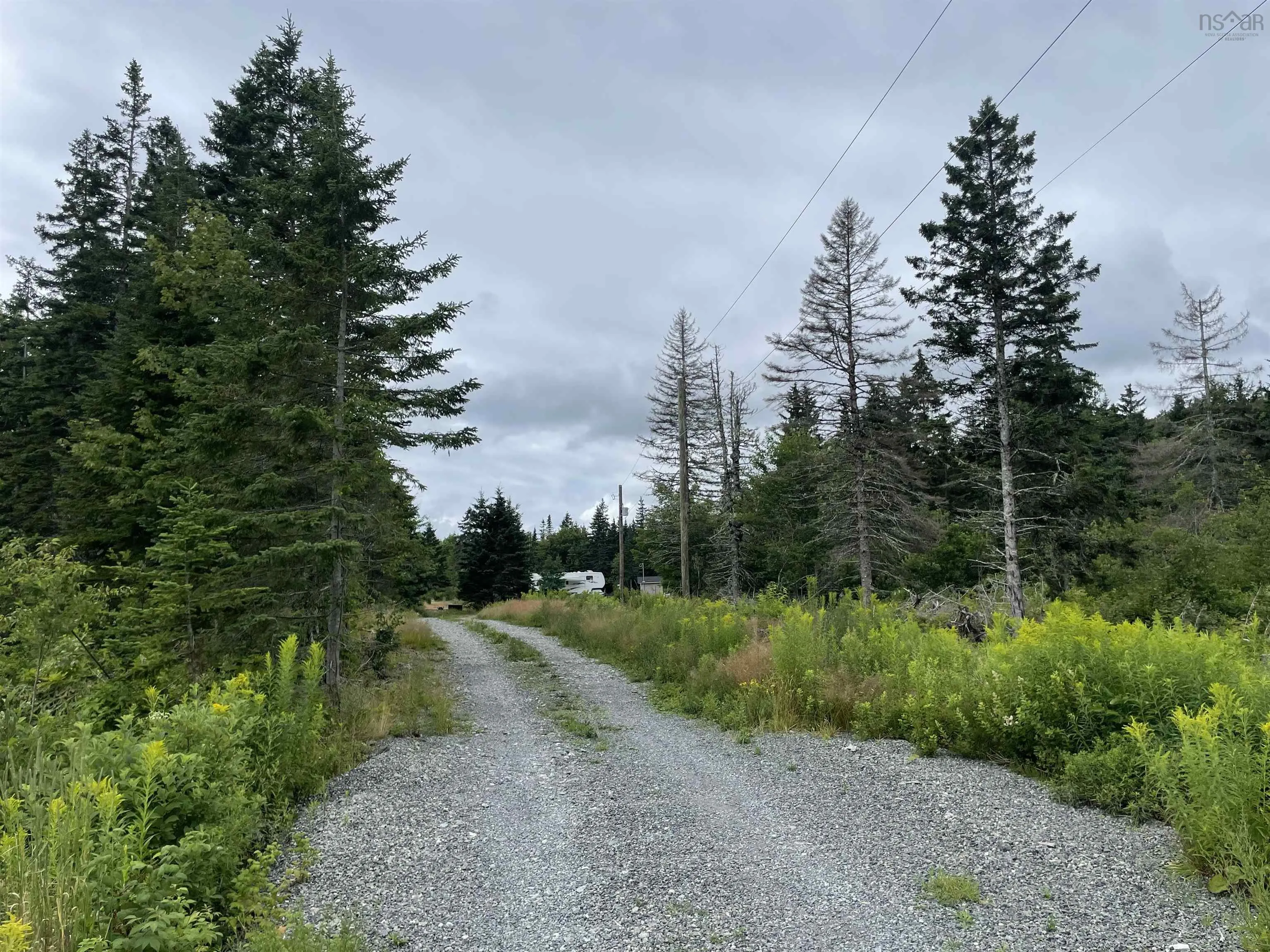 1049 Gillis Lake Road, Gillis Lake, NS B2A 4H7, ,Land,For Sale,Gillis Lake,202518384