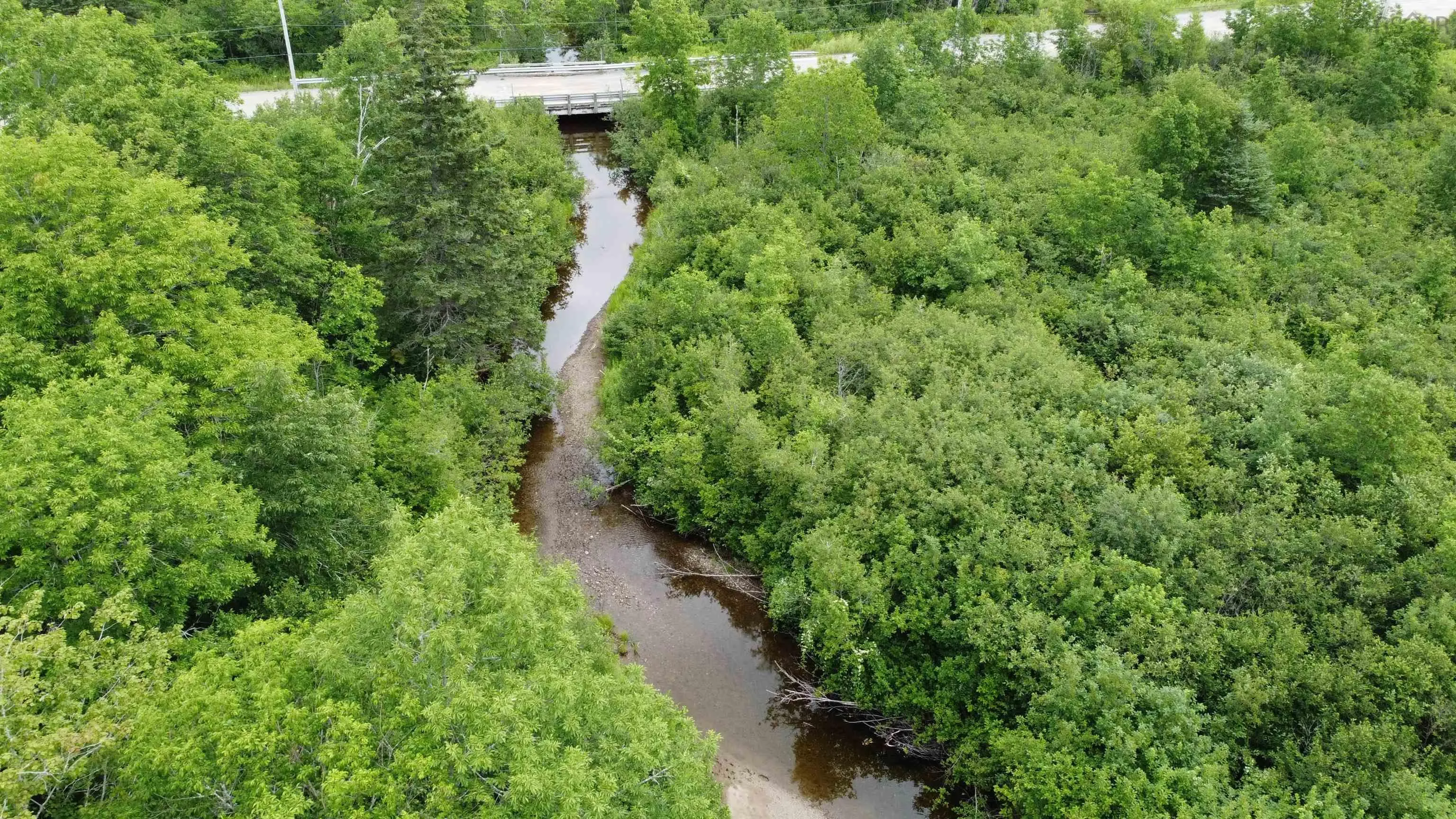 1049 Gillis Lake Road, Gillis Lake, NS B2A 4H7, ,Land,For Sale,Gillis Lake,202518384