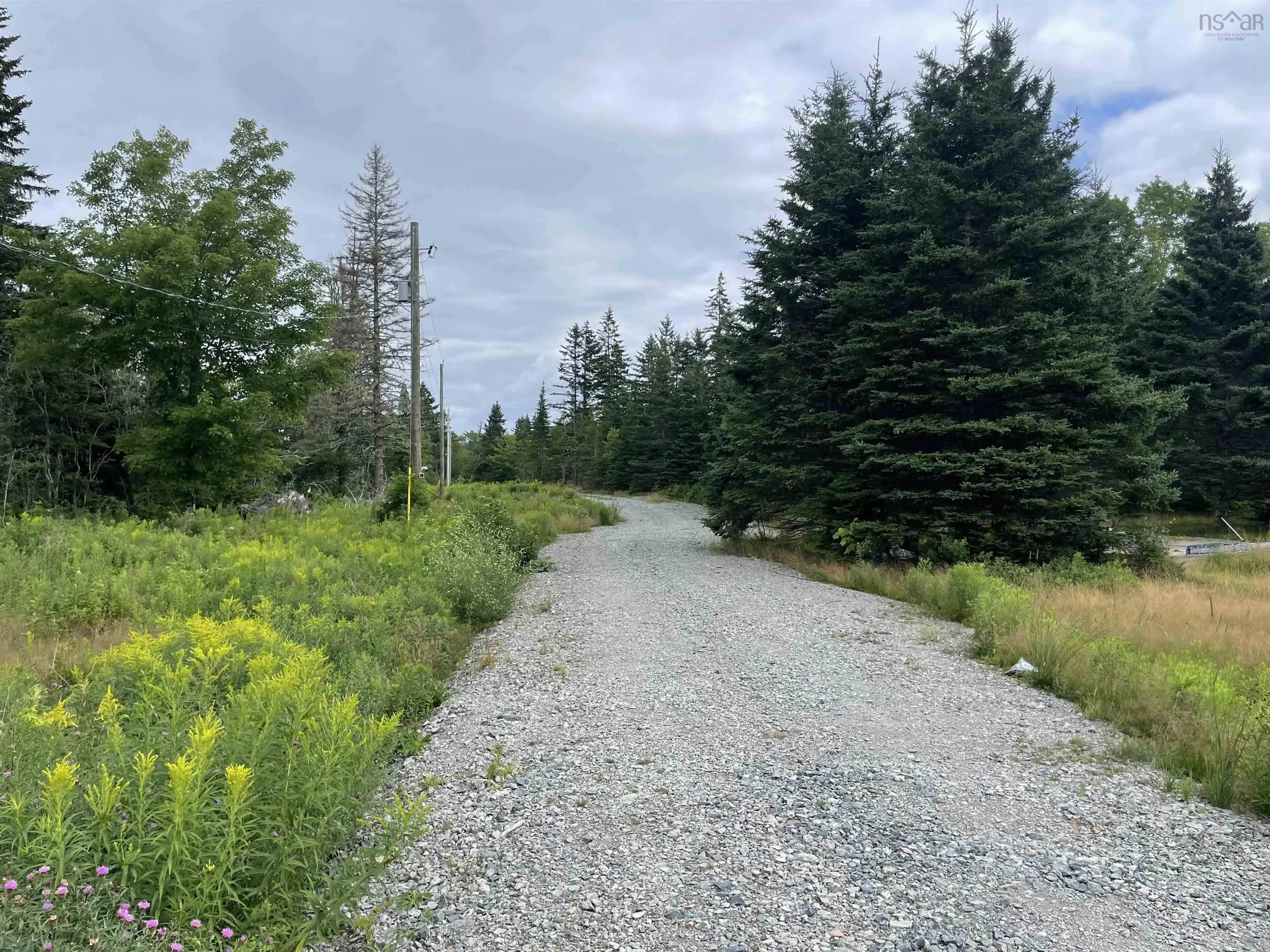 1049 Gillis Lake Road, Gillis Lake, NS B2A 4H7, ,Land,For Sale,Gillis Lake,202518384