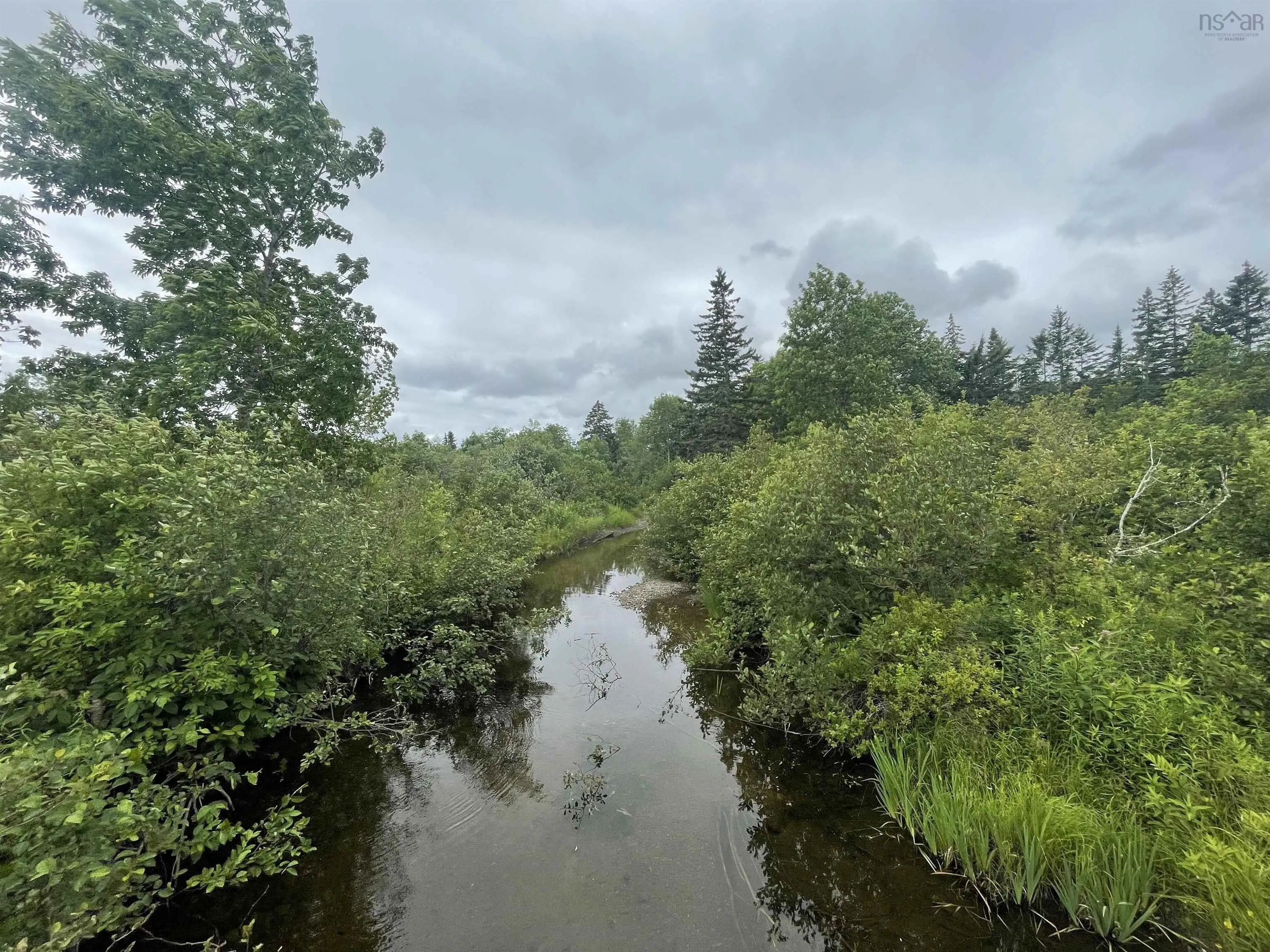 1049 Gillis Lake Road, Gillis Lake, NS B2A 4H7, ,Land,For Sale,Gillis Lake,202518384