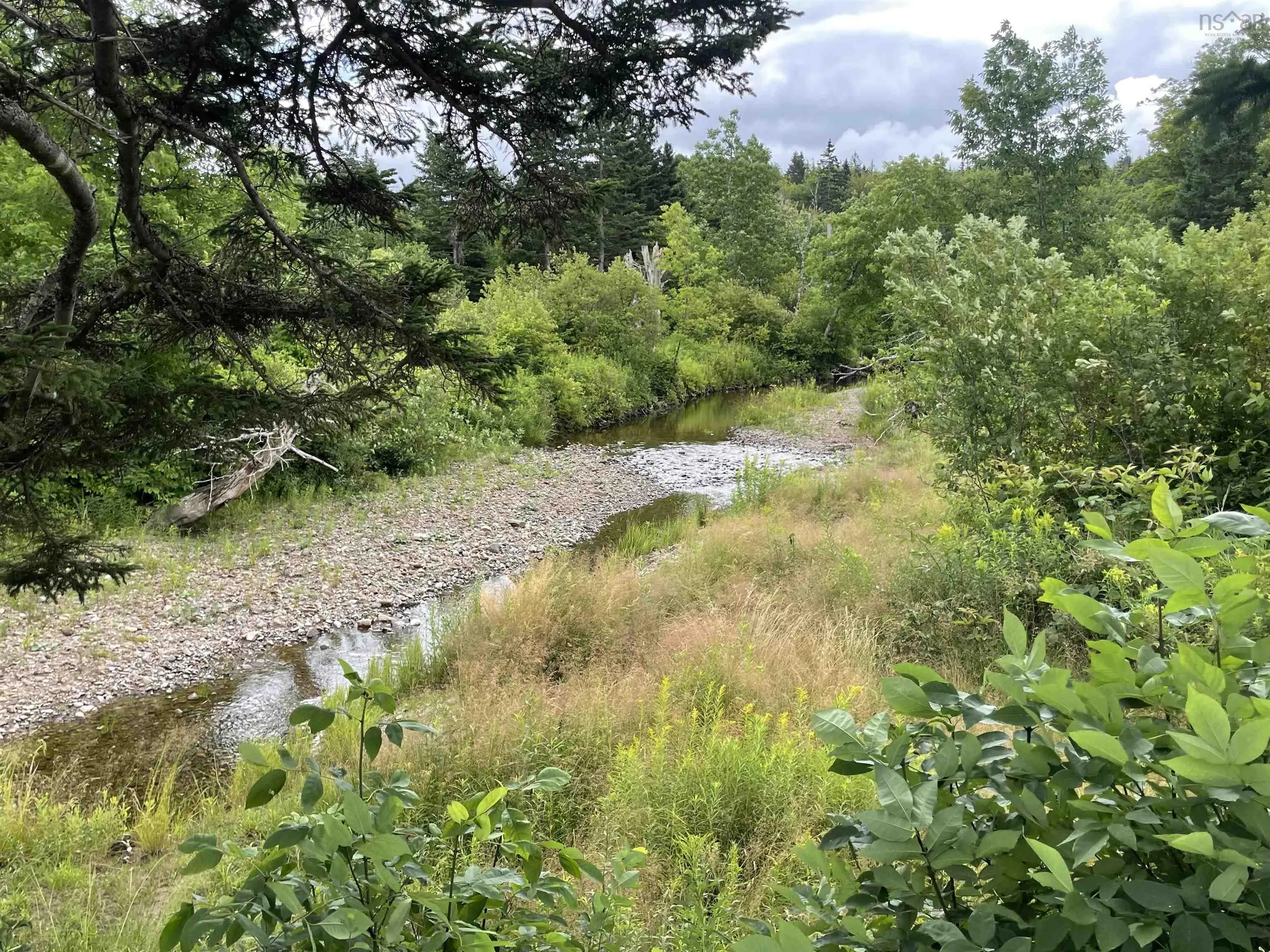 1049 Gillis Lake Road, Gillis Lake, NS B2A 4H7, ,Land,For Sale,Gillis Lake,202518384