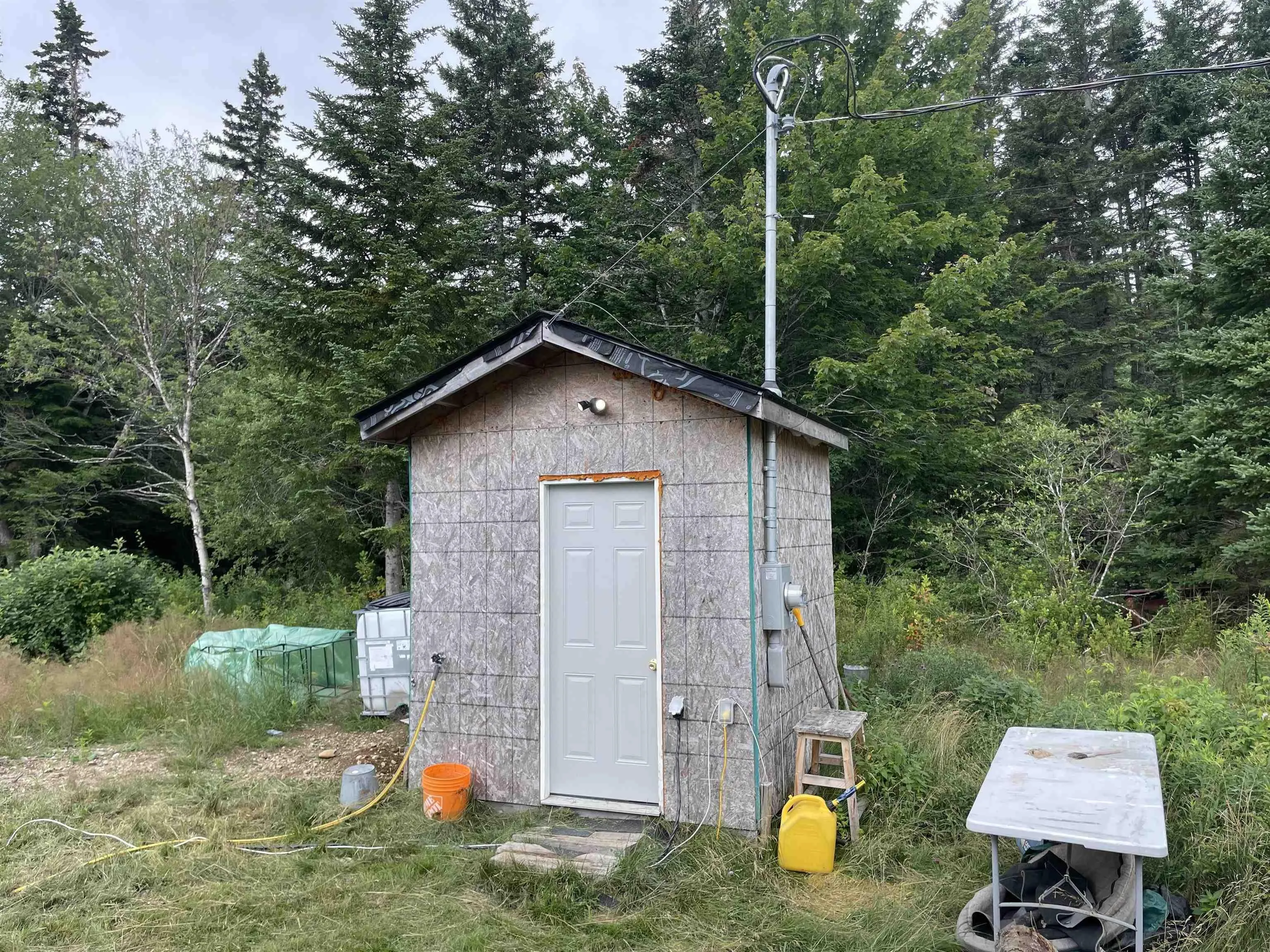 1049 Gillis Lake Road, Gillis Lake, NS B2A 4H7, ,Land,For Sale,Gillis Lake,202518384