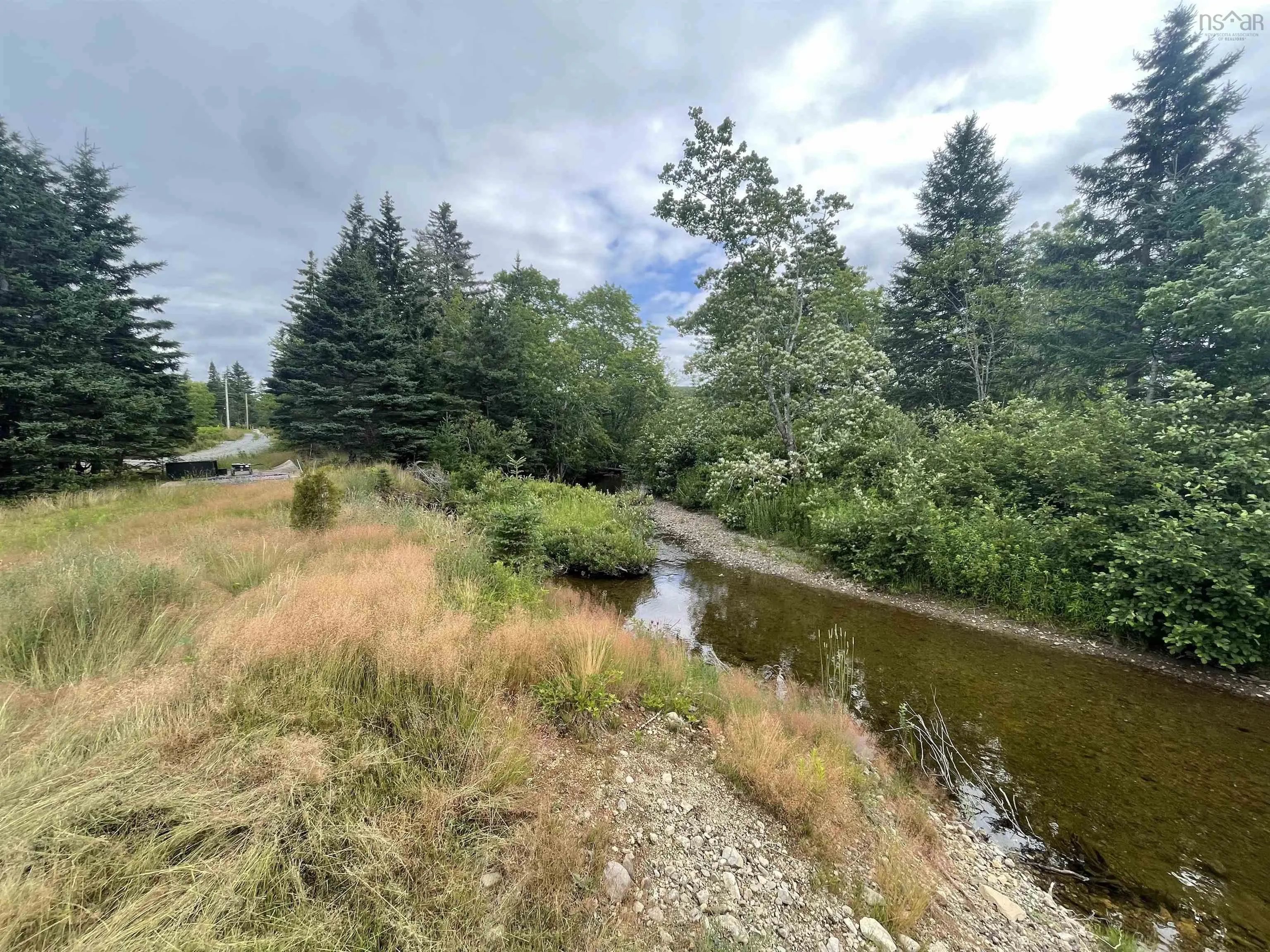 1049 Gillis Lake Road, Gillis Lake, NS B2A 4H7, ,Land,For Sale,Gillis Lake,202518384