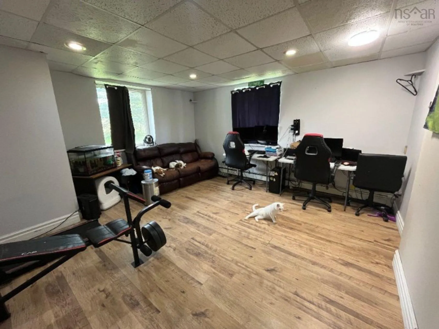 2113 Highway 334 Highway, Upper Wedgeport, NS B0W 1B0, 5 Bedrooms Bedrooms, ,2 BathroomsBathrooms,Residential,For Sale,Highway 334,202519683