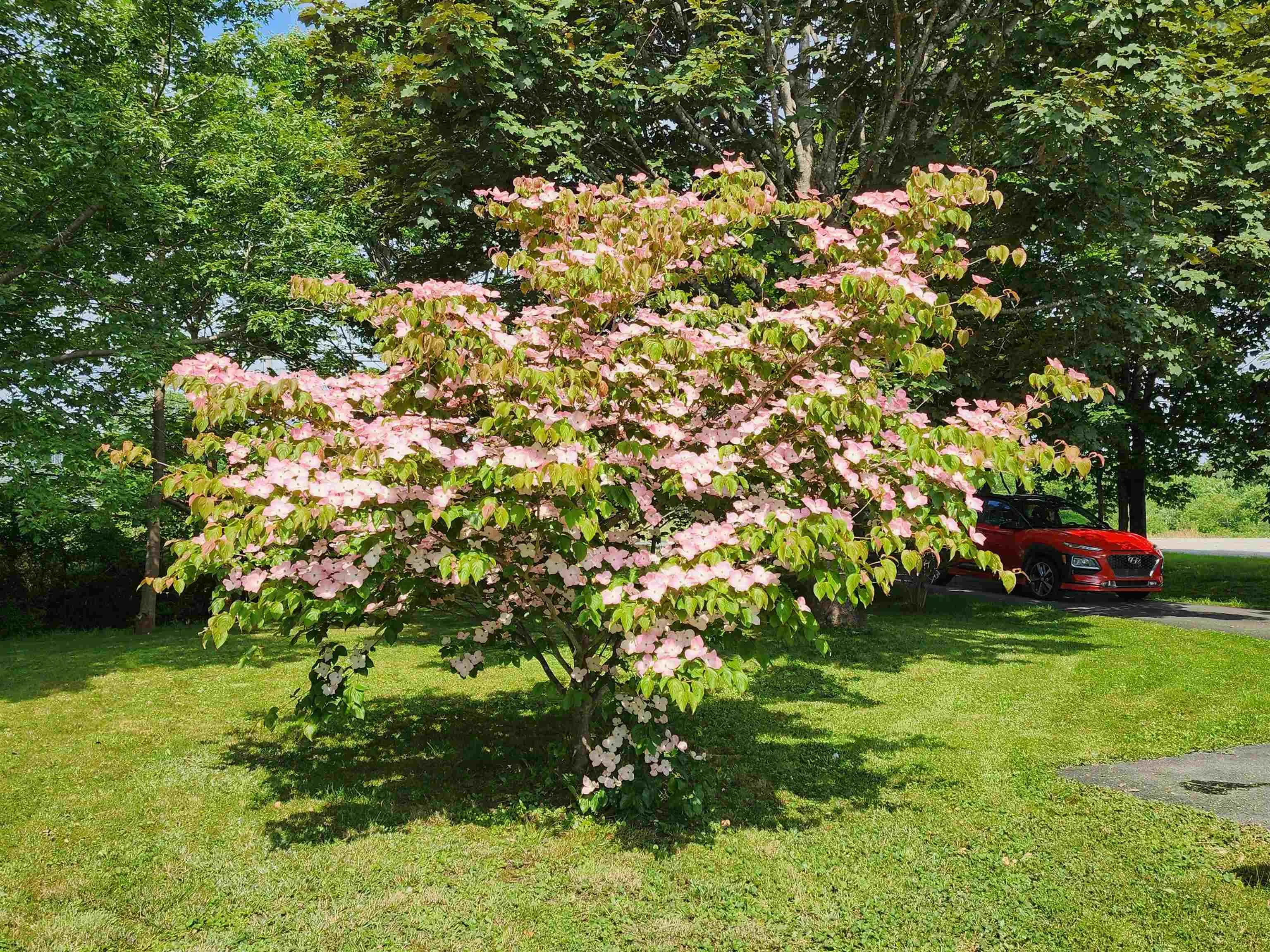 3379 Hwy 3 Barrington Passage, Barrington Passage, NS B0T 1W0, 8 Bedrooms Bedrooms, ,1 BathroomBathrooms,Residential,For Sale,Hwy 3 Barrington Passage,202517272
