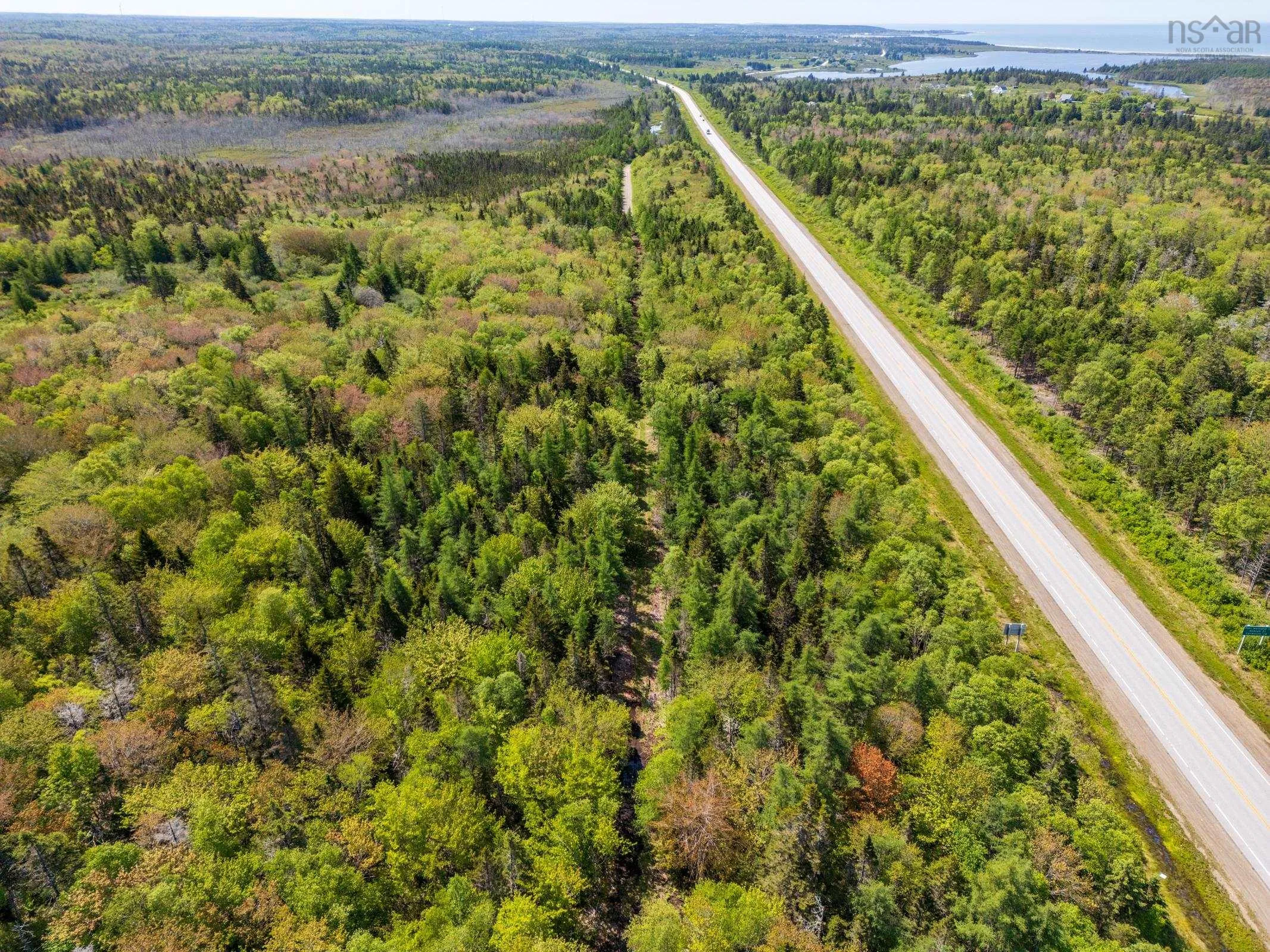 101 Highway, Woodvale, NS B5A 5B1, ,Land,For Sale,101,202513375
