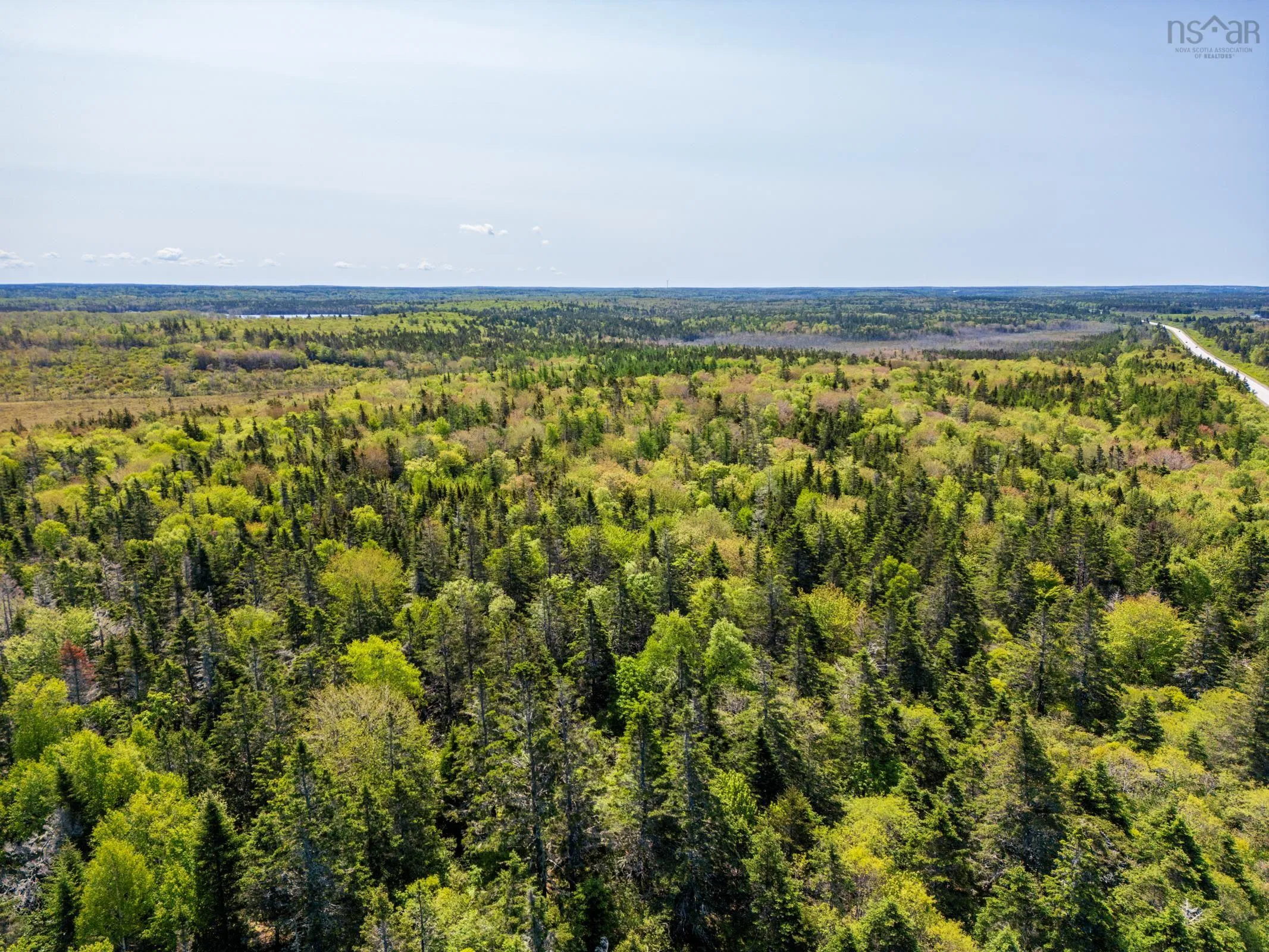 101 Highway, Woodvale, NS B5A 5B1, ,Land,For Sale,101,202513375