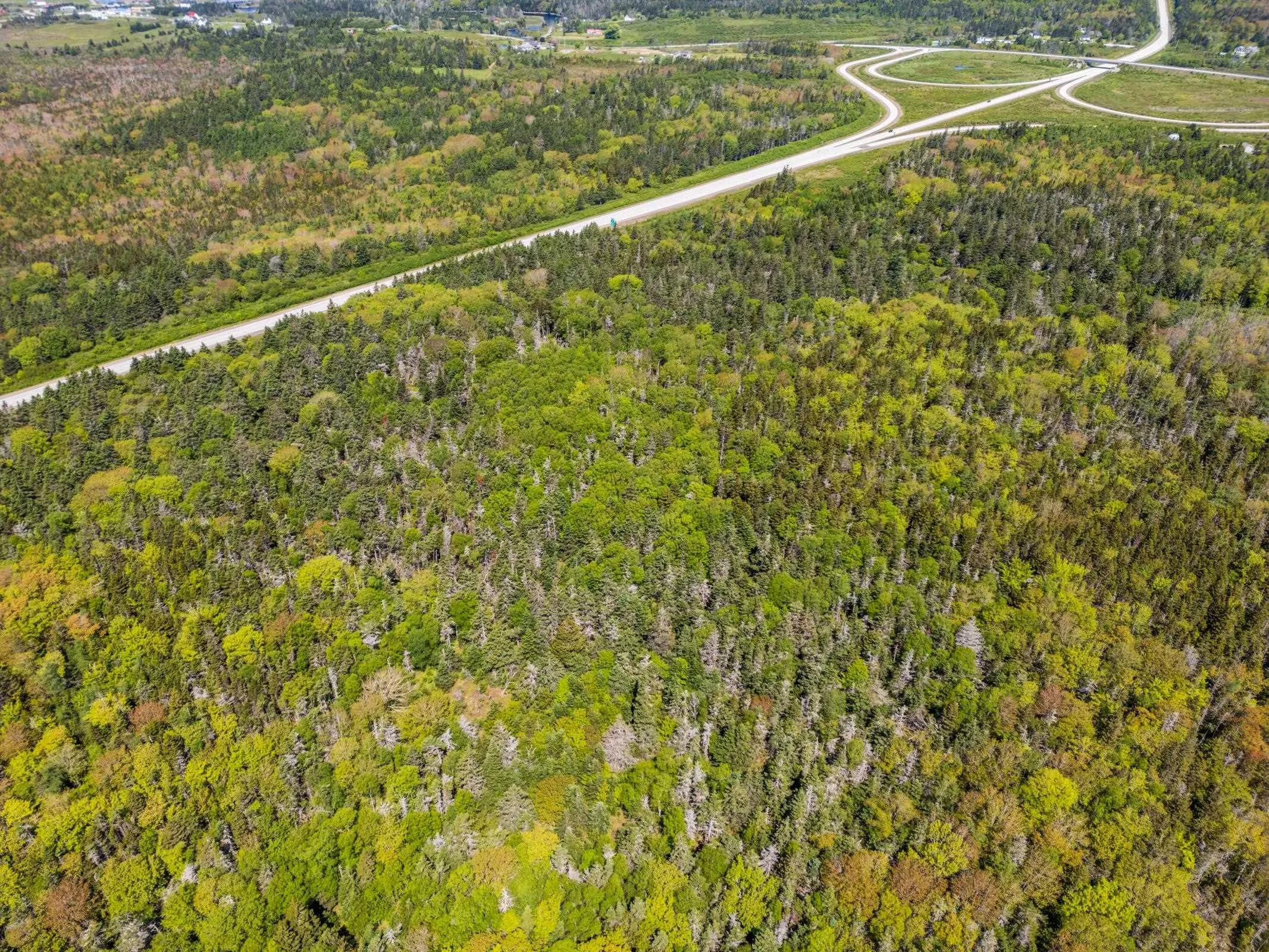 101 Highway, Woodvale, NS B5A 5B1, ,Land,For Sale,101,202513375