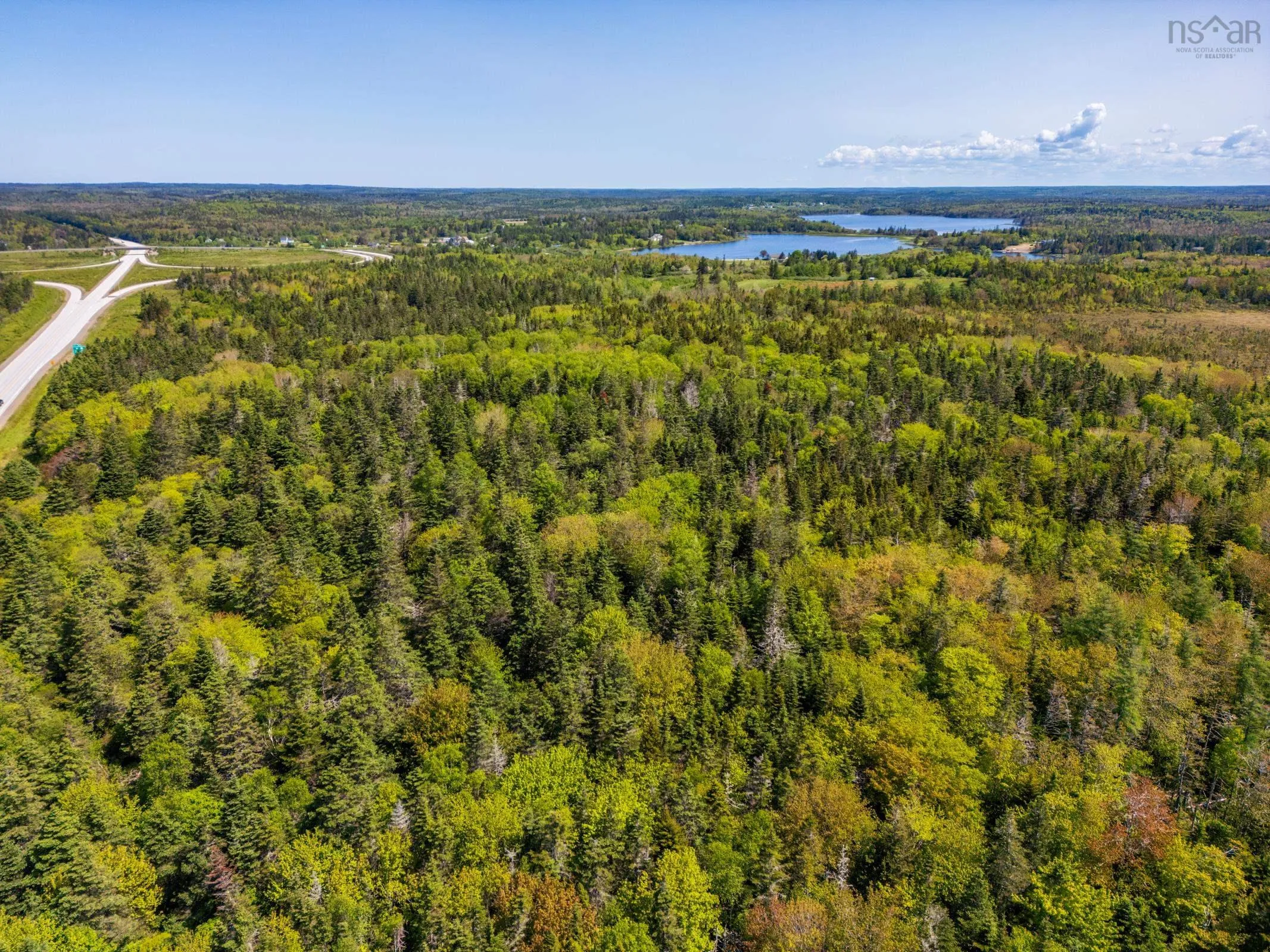 101 Highway, Woodvale, NS B5A 5B1, ,Land,For Sale,101,202513375