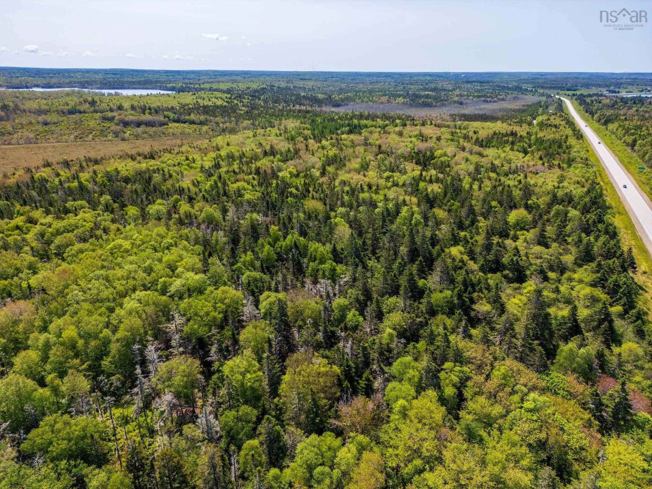 101 Highway, Woodvale, NS B5A 5B1, ,Land,For Sale,101,202513375