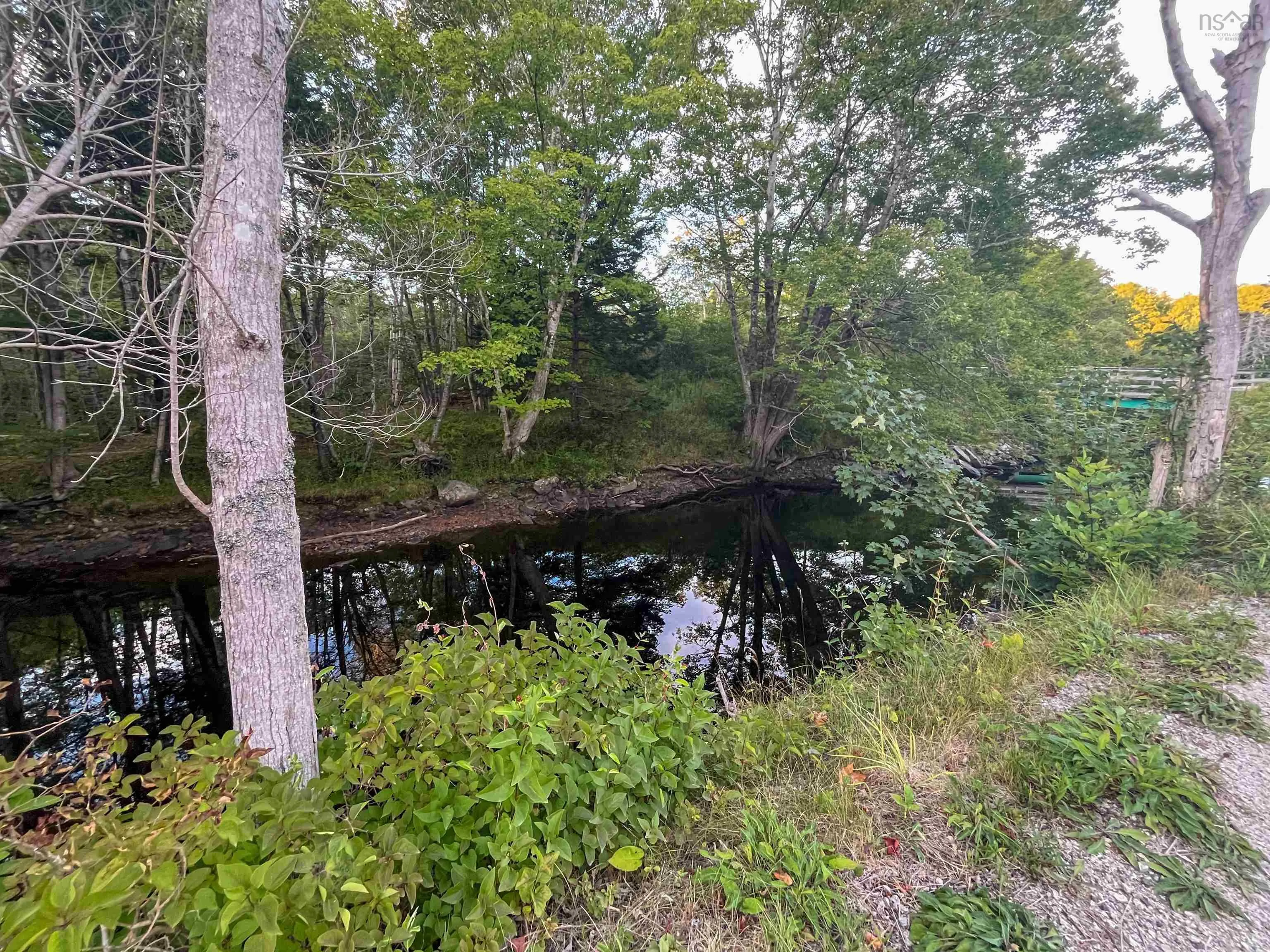 Bangor Road, Bangor, NS B0W 2L0, ,Land,For Sale,Bangor,202521500