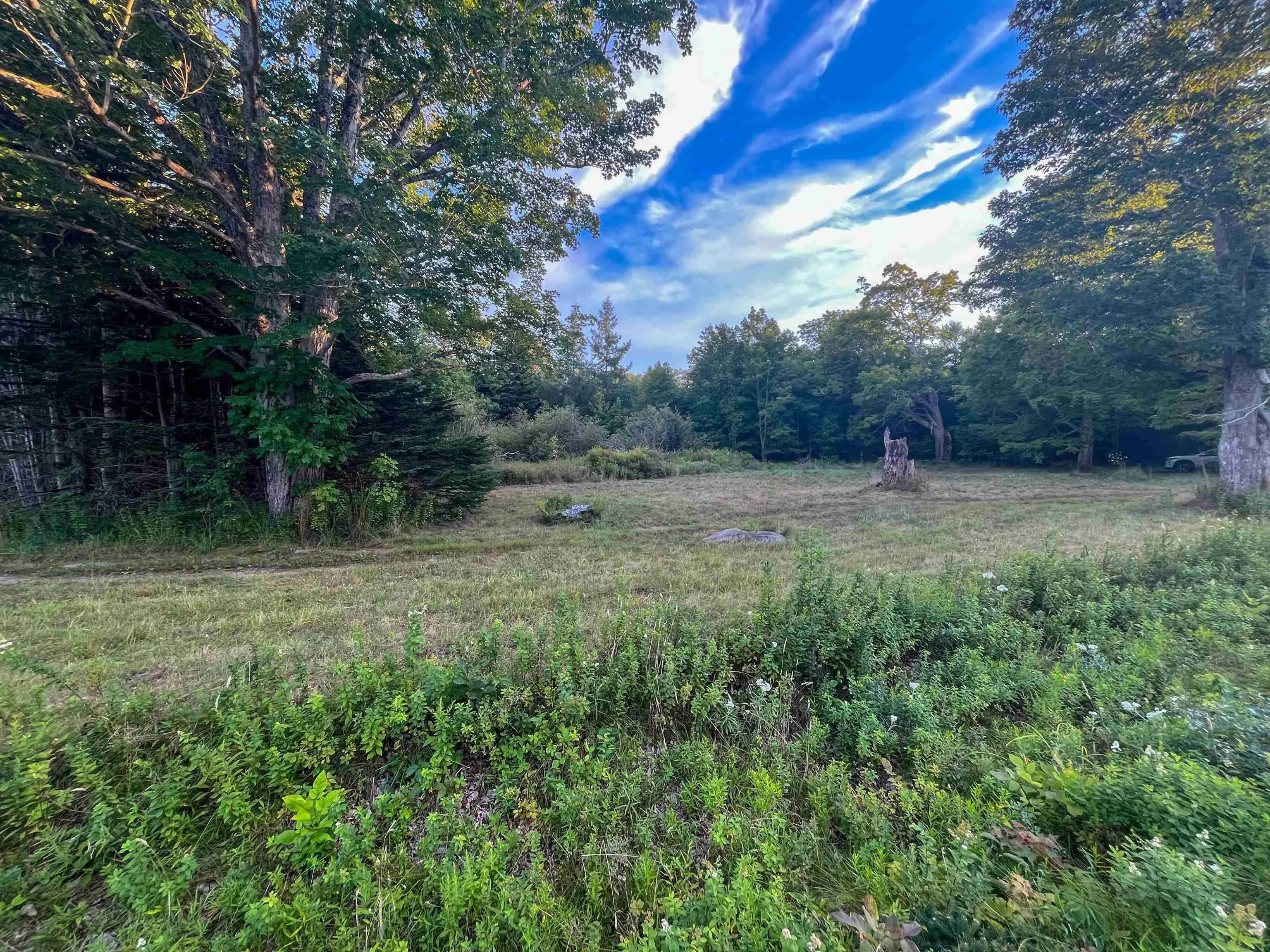 Bangor Road, Bangor, NS B0W 2L0, ,Land,For Sale,Bangor,202521500