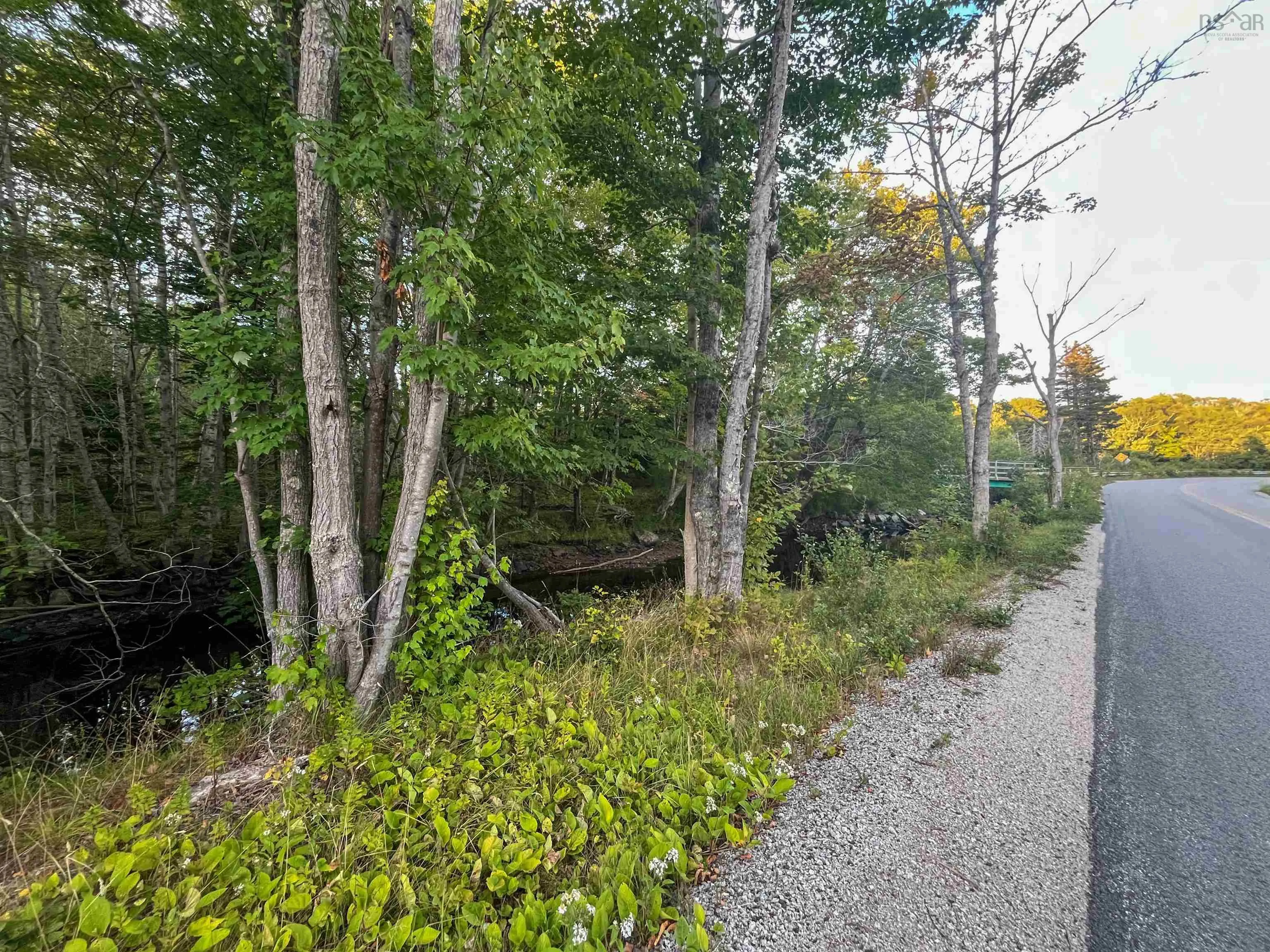 Bangor Road, Bangor, NS B0W 2L0, ,Land,For Sale,Bangor,202521500