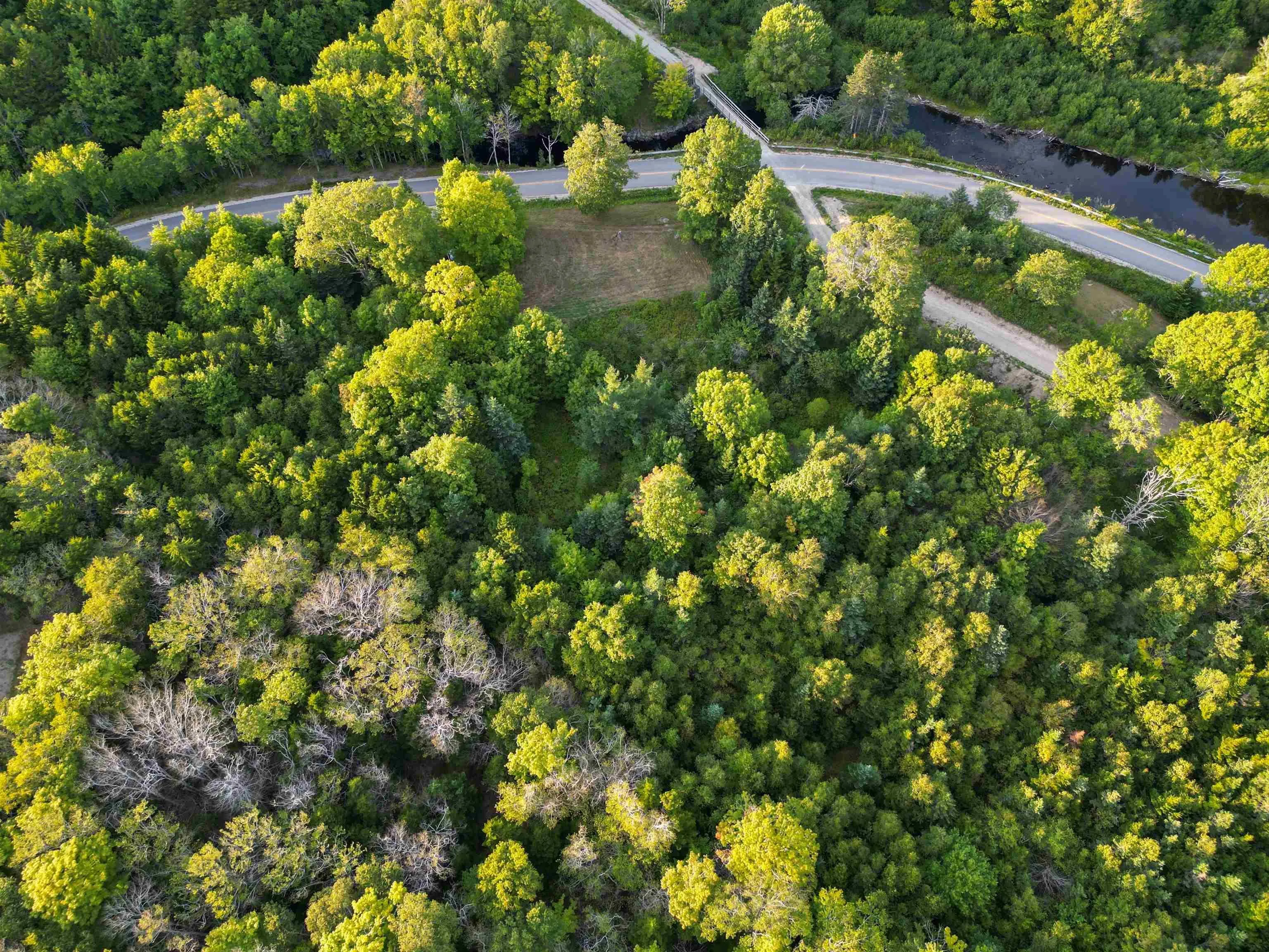 Bangor Road, Bangor, NS B0W 2L0, ,Land,For Sale,Bangor,202521500