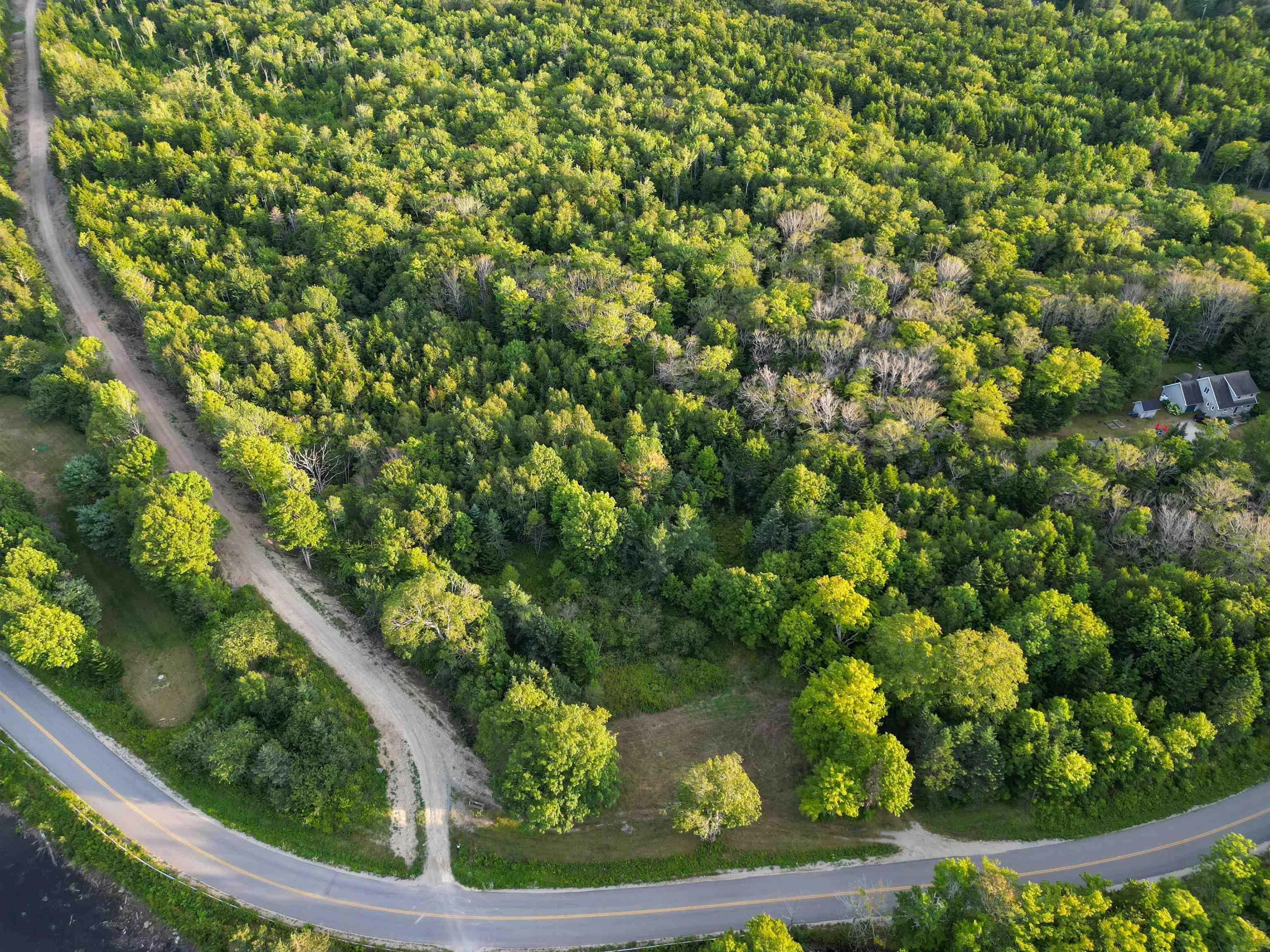 Bangor Road, Bangor, NS B0W 2L0, ,Land,For Sale,Bangor,202521500