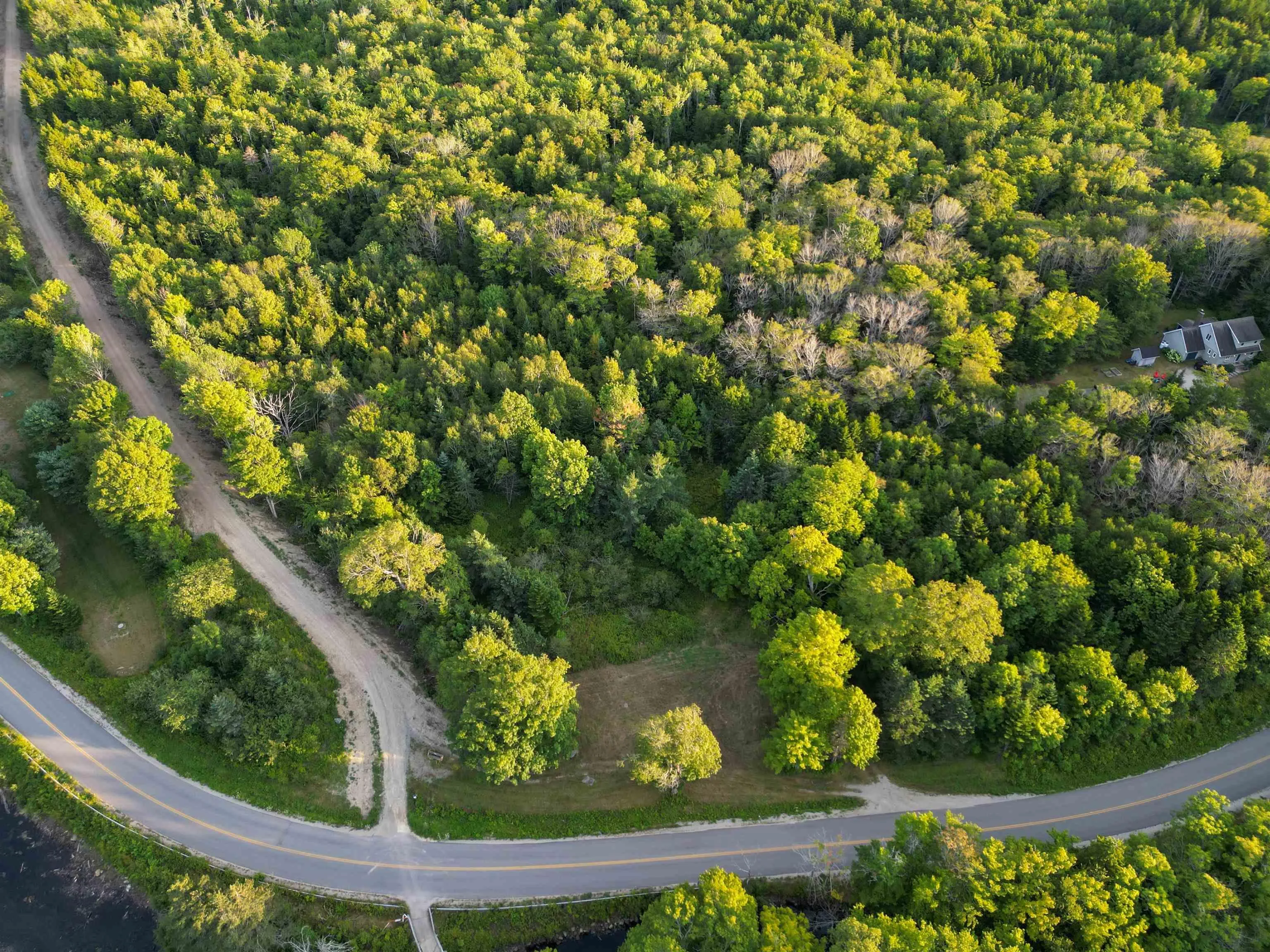 Bangor Road, Bangor, NS B0W 2L0, ,Land,For Sale,Bangor,202521500