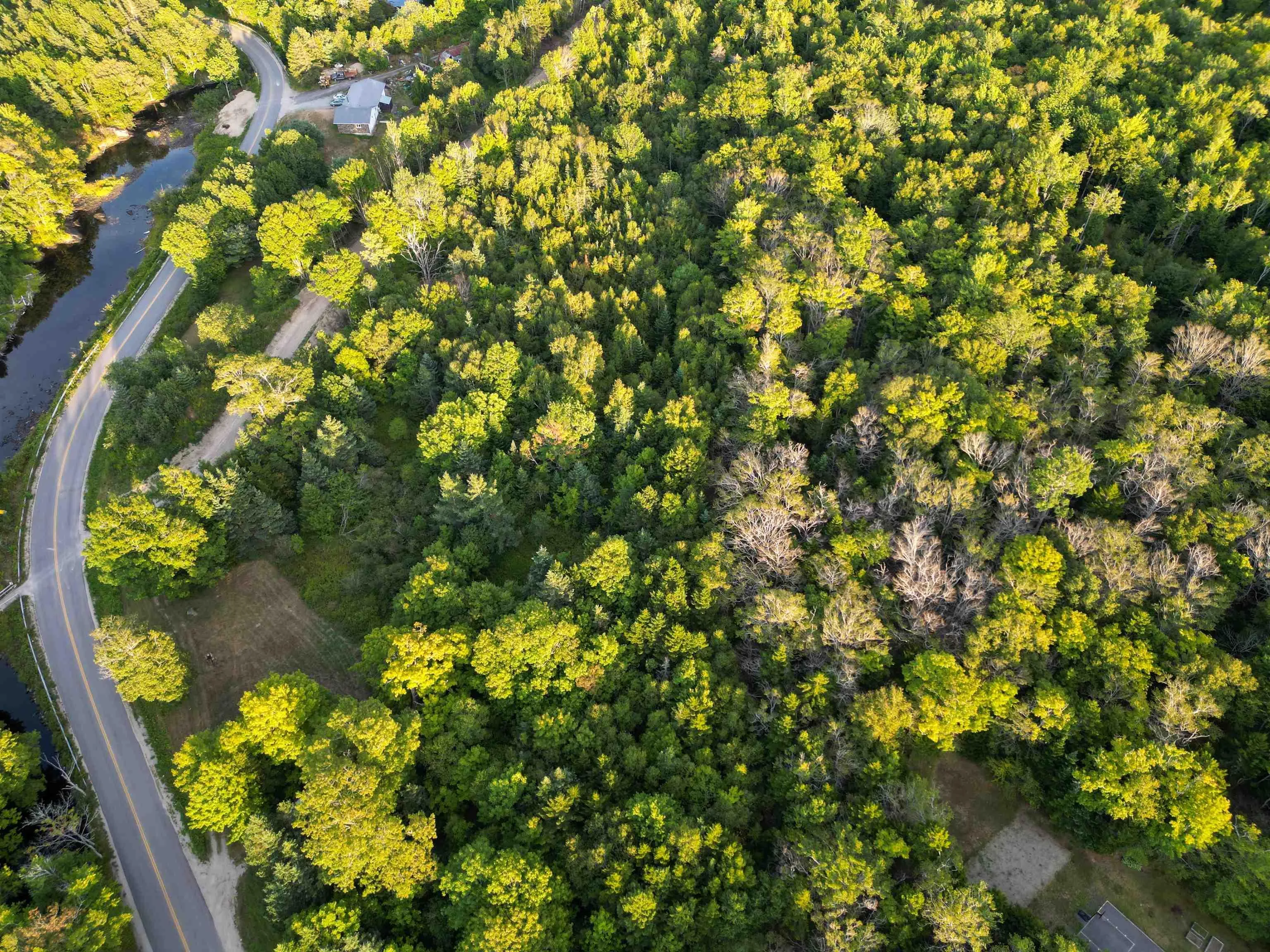 Bangor Road, Bangor, NS B0W 2L0, ,Land,For Sale,Bangor,202521500