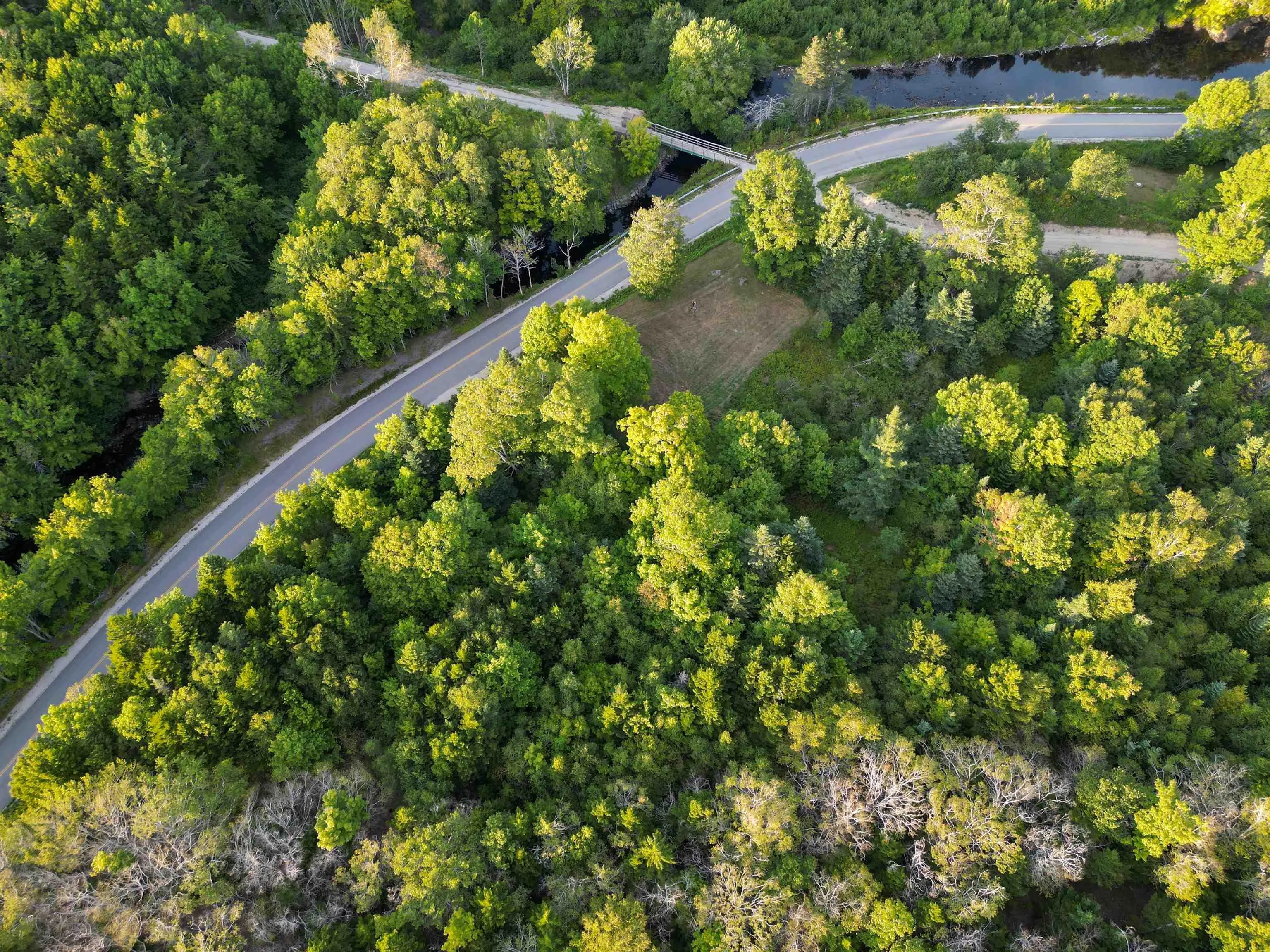 Bangor Road, Bangor, NS B0W 2L0, ,Land,For Sale,Bangor,202521500