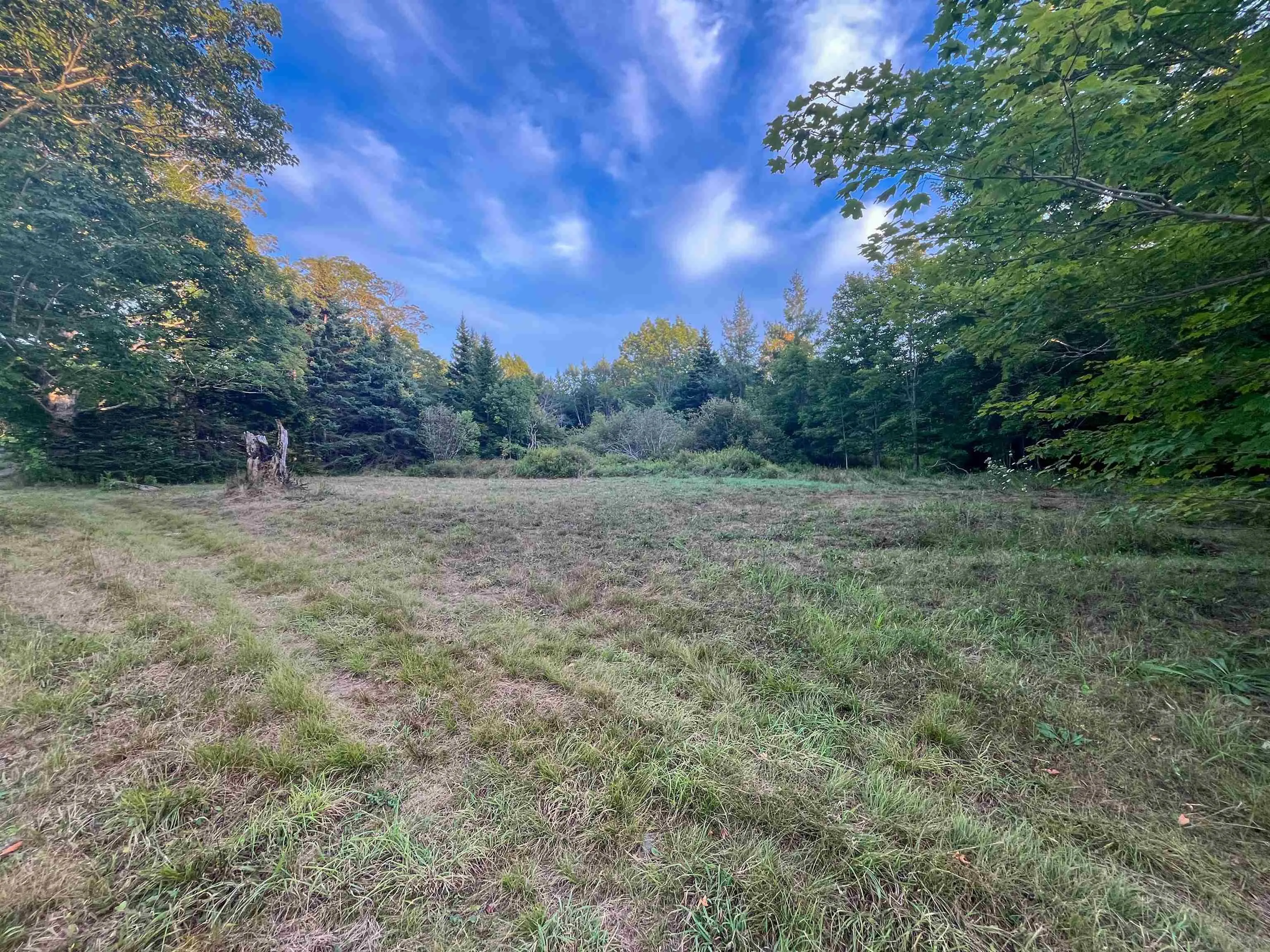 Bangor Road, Bangor, NS B0W 2L0, ,Land,For Sale,Bangor,202521500
