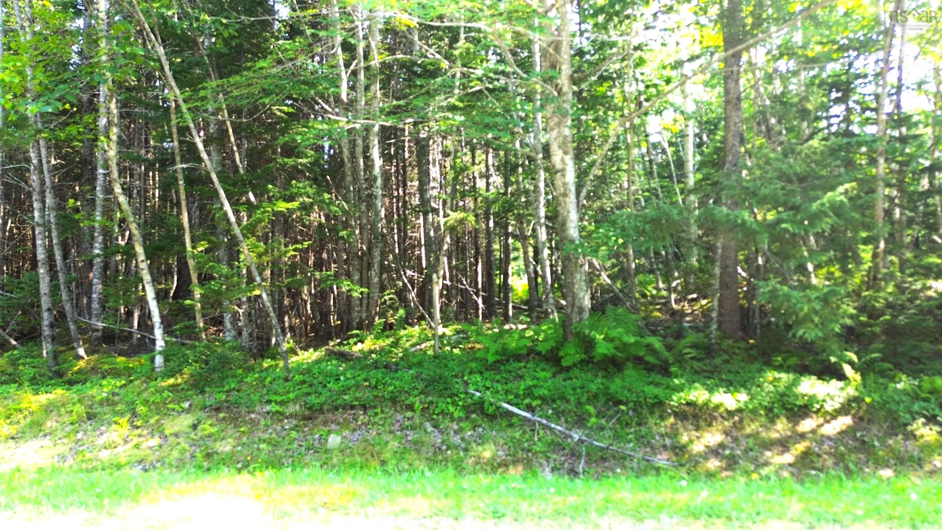 Mackenzie Point Road Lot 40a, Mackenzie Point, NS B0E 3K0, ,Land,For Sale,Mackenzie Point,202519113