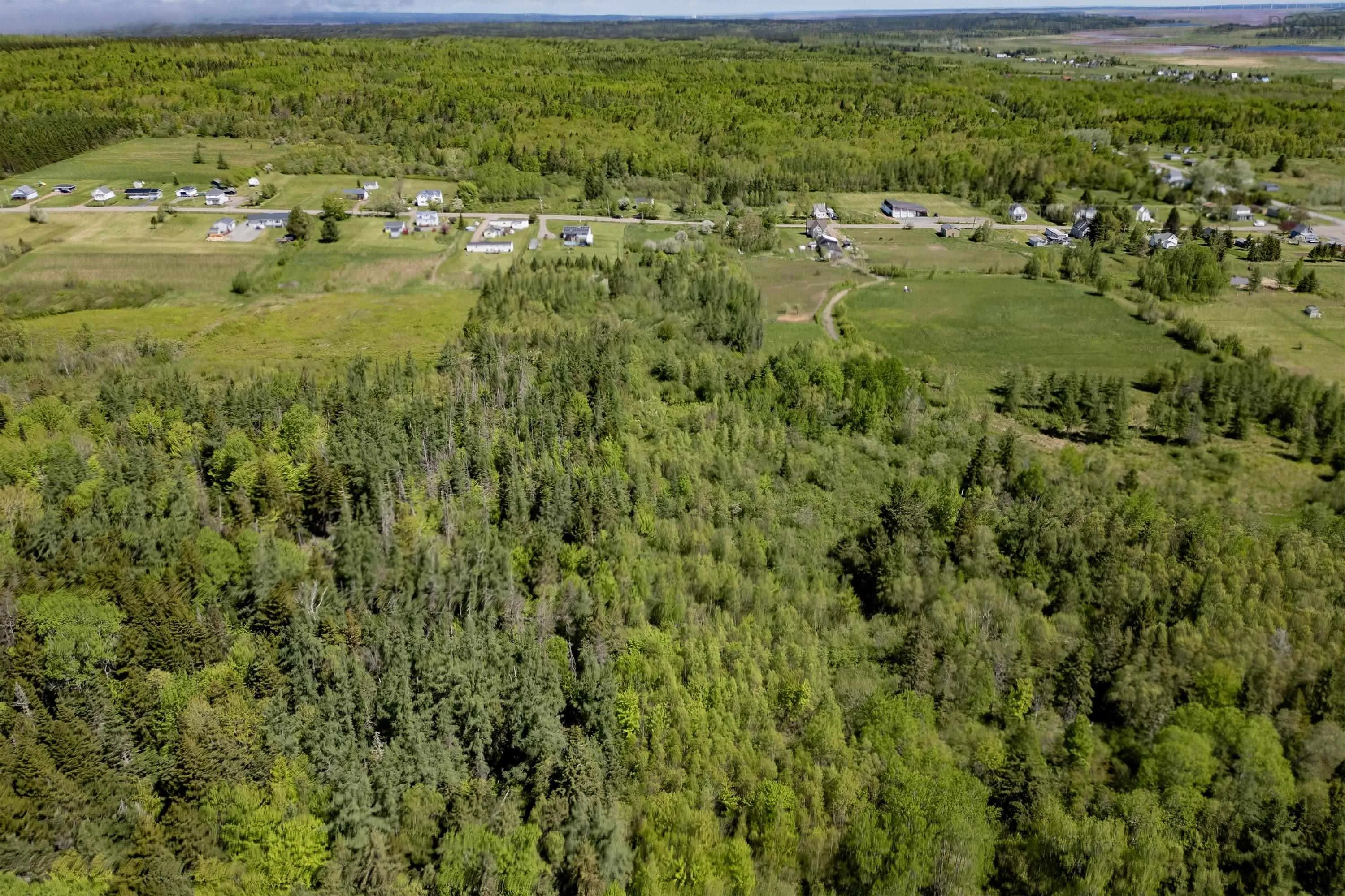 1430 Highway 242, River Hebert, NS B0L 1G0, ,Land,For Sale,Highway 242,202512986
