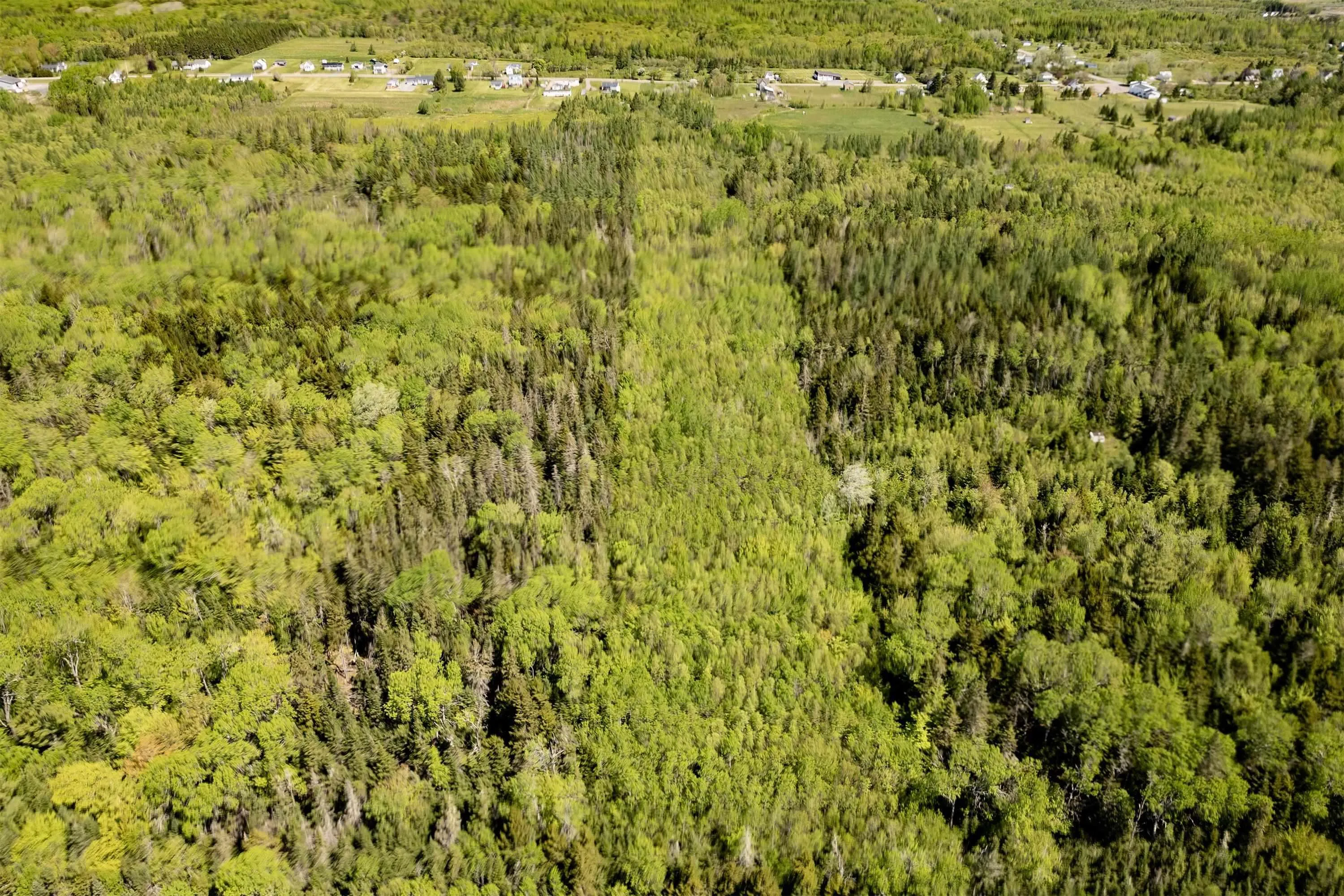 1430 Highway 242, River Hebert, NS B0L 1G0, ,Land,For Sale,Highway 242,202512986