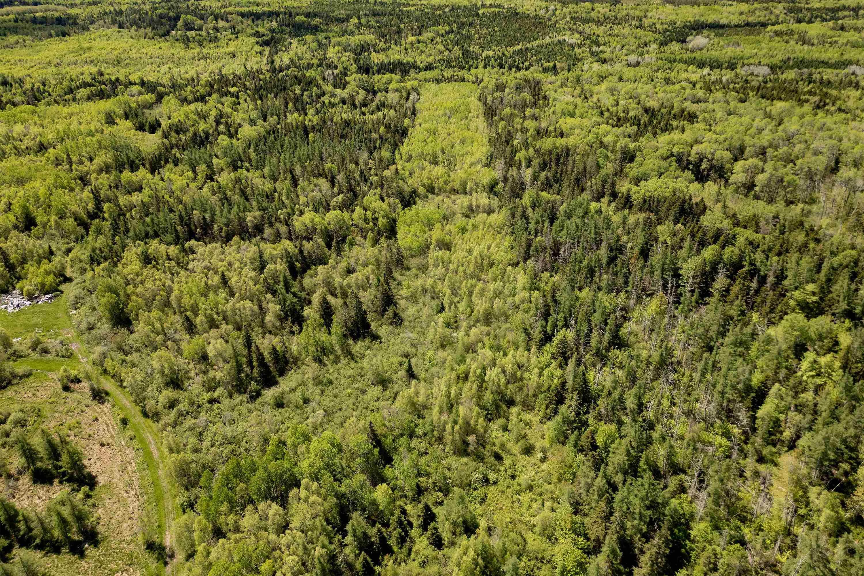 1430 Highway 242, River Hebert, NS B0L 1G0, ,Land,For Sale,Highway 242,202512986