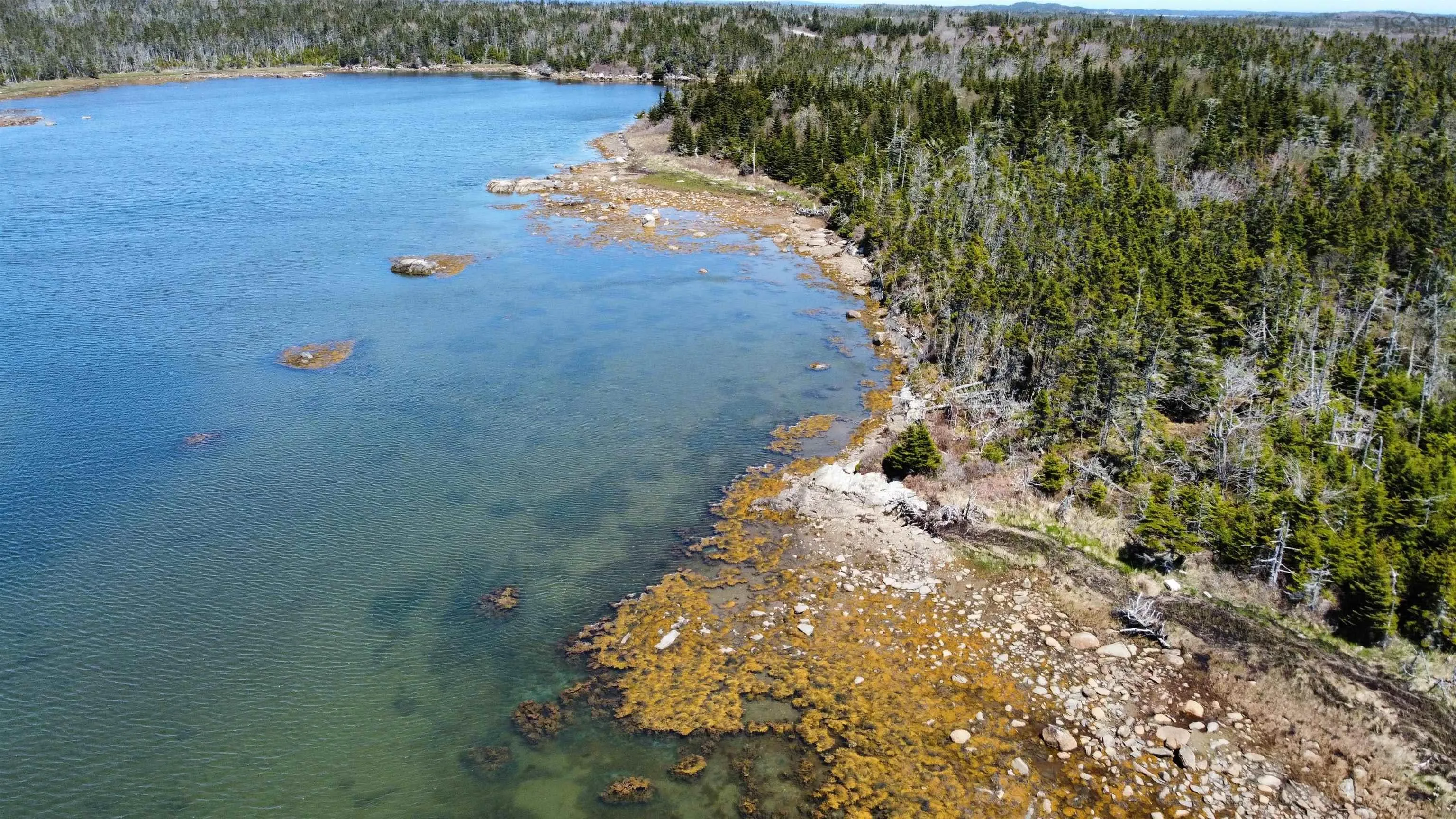 Little Harbour Lot 1, Little Harbour, NS B0J 1P0, ,Land,For Sale,Little Harbour,202522636
