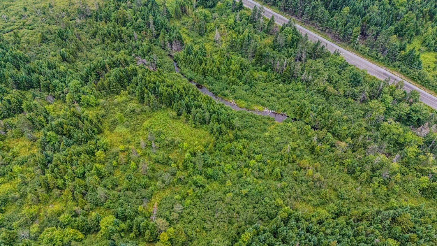 676 Westchester Rd, Sutherland Lake, NS B0M 1G0, ,Land,For Sale,Westchester Rd,202522178