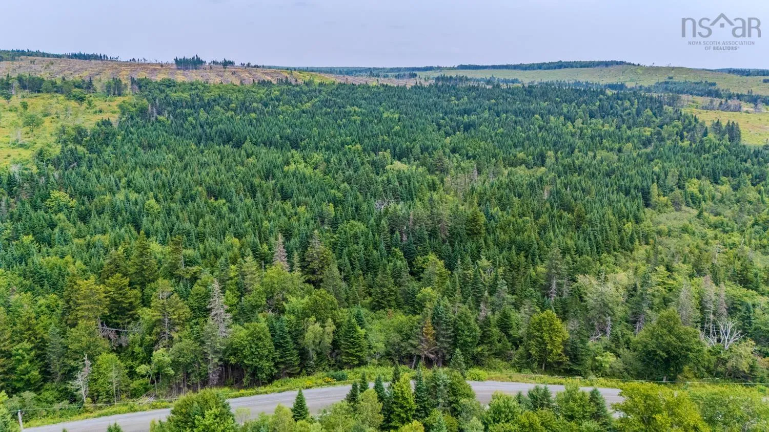 676 Westchester Rd, Sutherland Lake, NS B0M 1G0, ,Land,For Sale,Westchester Rd,202522178