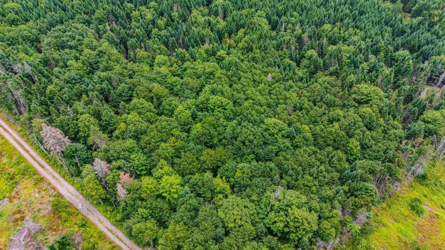 676 Westchester Rd, Sutherland Lake, NS B0M 1G0, ,Land,For Sale,Westchester Rd,202522178