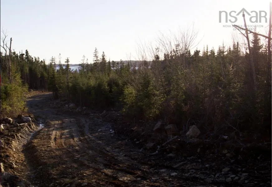819 West Lawrencetown Road, Lawrencetown Ns B2z 1s6, ,Land,For Sale,West Lawrencetown,202506564