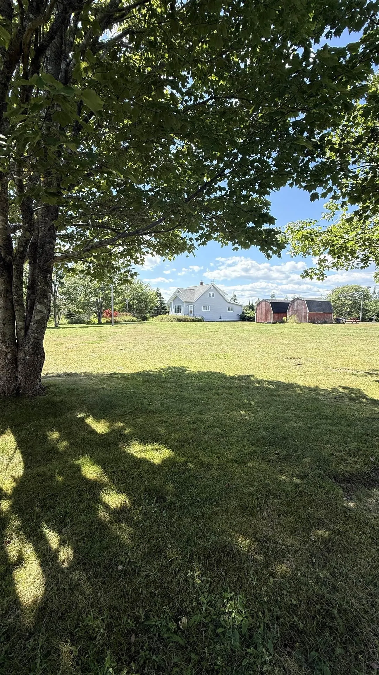 16986 Highway 7, Pleasant Harbour, NS B0J 3H0, 4 Bedrooms Bedrooms, ,2 BathroomsBathrooms,Residential,For Sale,Highway 7,202521419