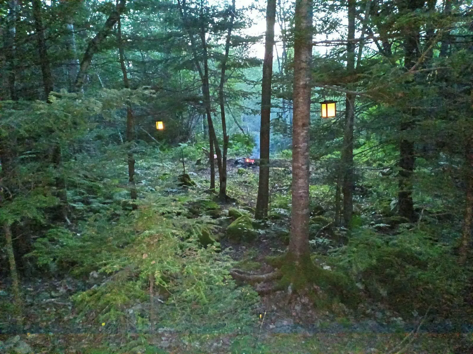 65 Shore Road, Mount Pleasant, NS B0T 1K0, 3 Bedrooms Bedrooms, ,2 BathroomsBathrooms,Residential,For Sale,Shore,202513863