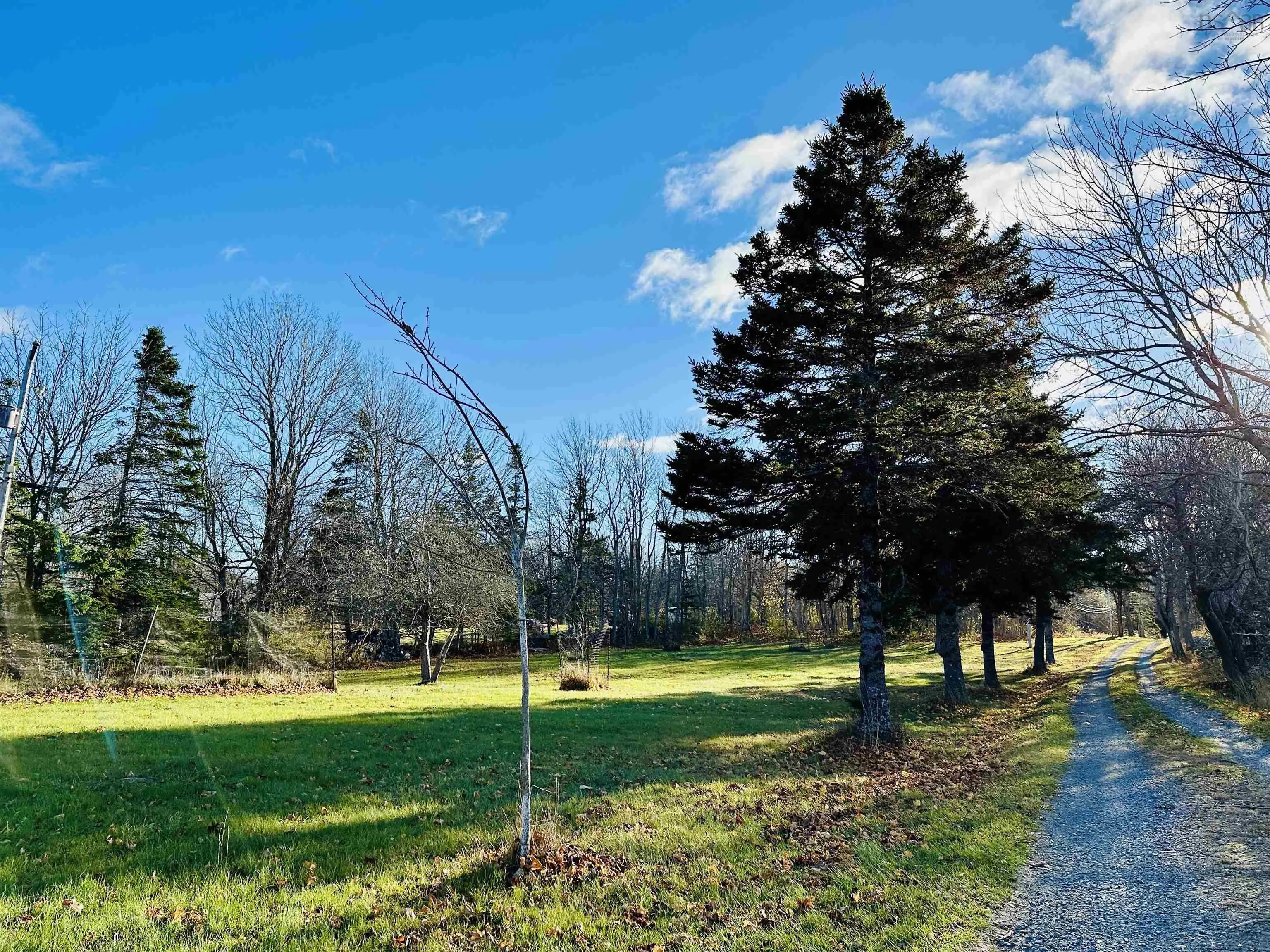 65 Shore Road, Mount Pleasant, NS B0T 1K0, 3 Bedrooms Bedrooms, ,2 BathroomsBathrooms,Residential,For Sale,Shore,202513863