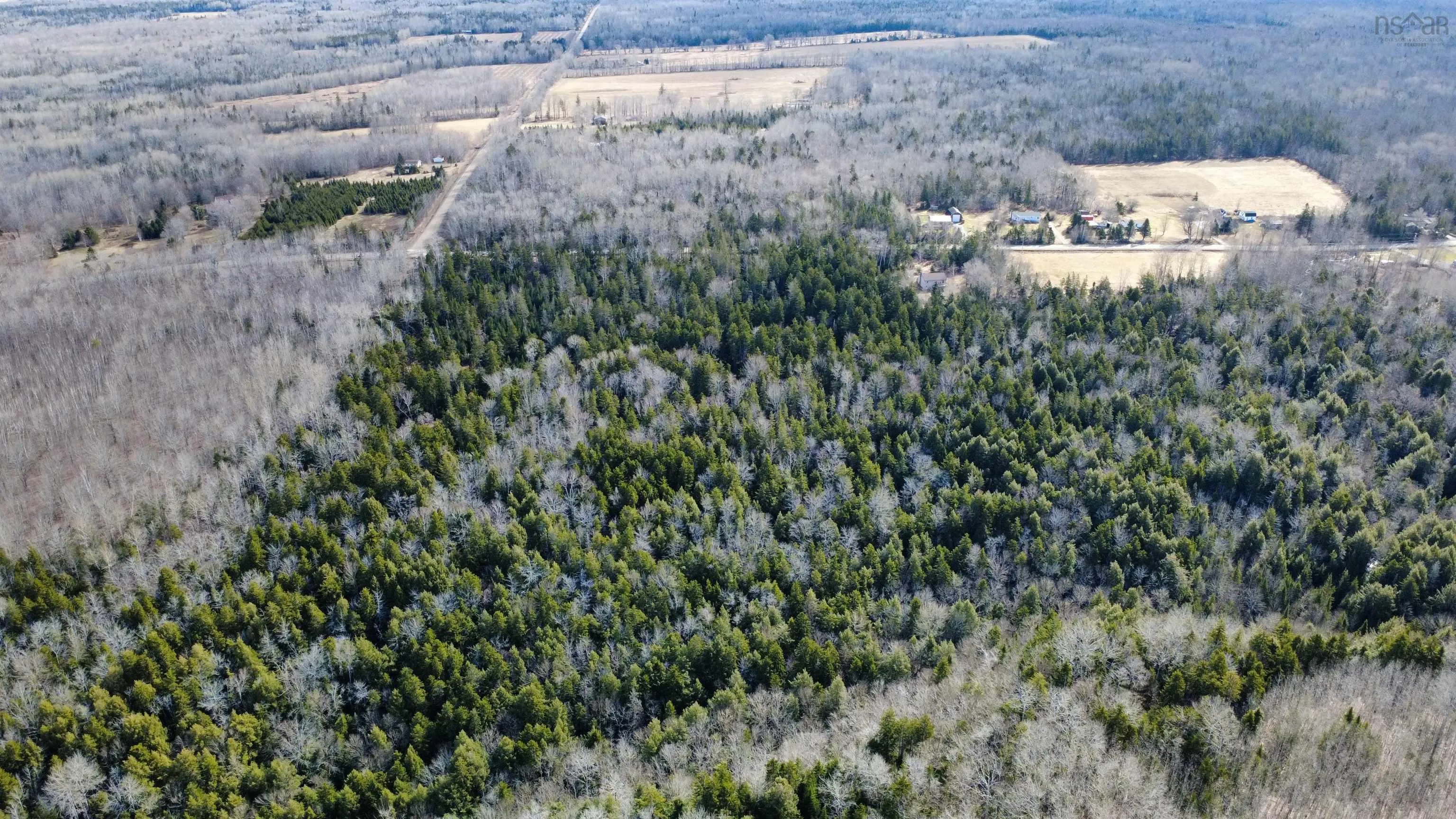 Highway 360 Lot 5, Garland, NS B0P 1E0, ,Land,For Sale,Highway 360,202520690