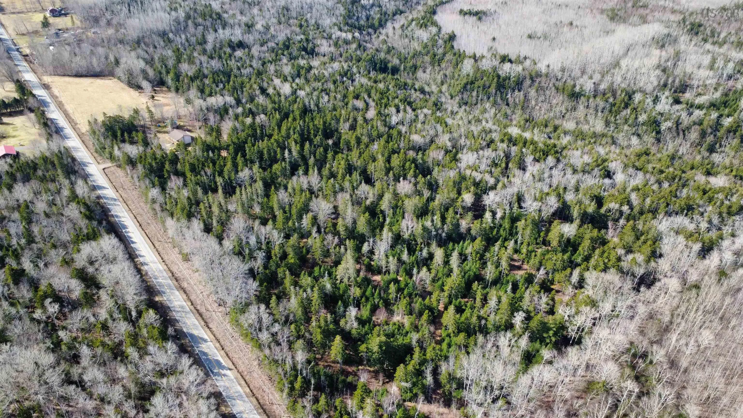 Highway 360 Lot 5, Garland, NS B0P 1E0, ,Land,For Sale,Highway 360,202520690