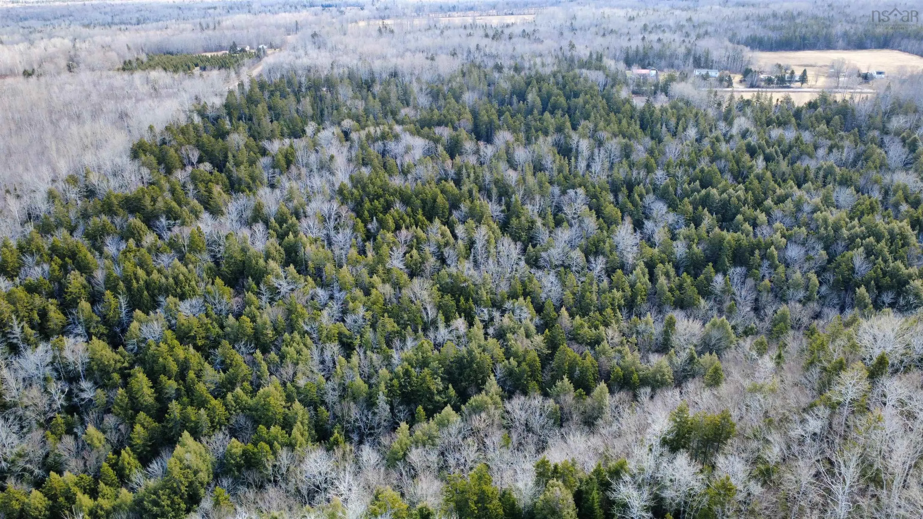 Highway 360 Lot 5, Garland, NS B0P 1E0, ,Land,For Sale,Highway 360,202520690