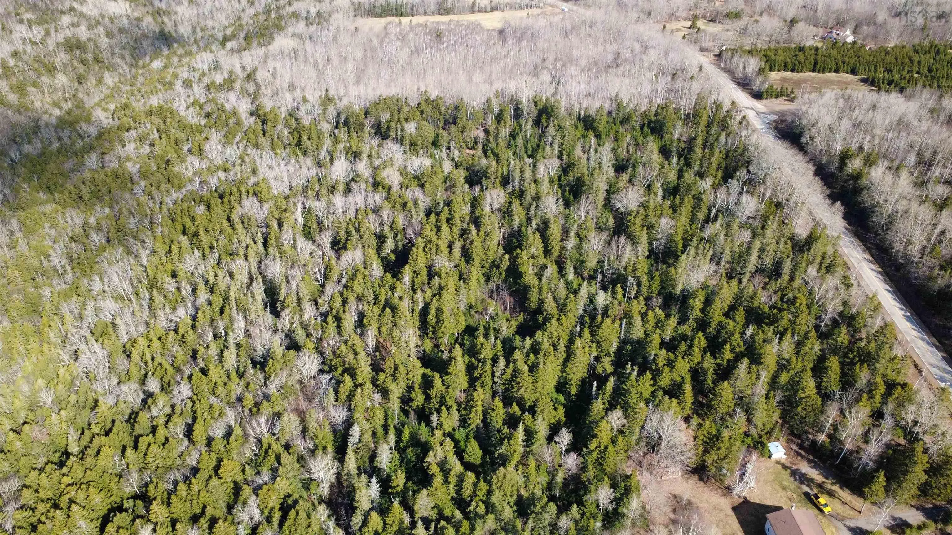 Highway 360 Lot 5, Garland, NS B0P 1E0, ,Land,For Sale,Highway 360,202520690