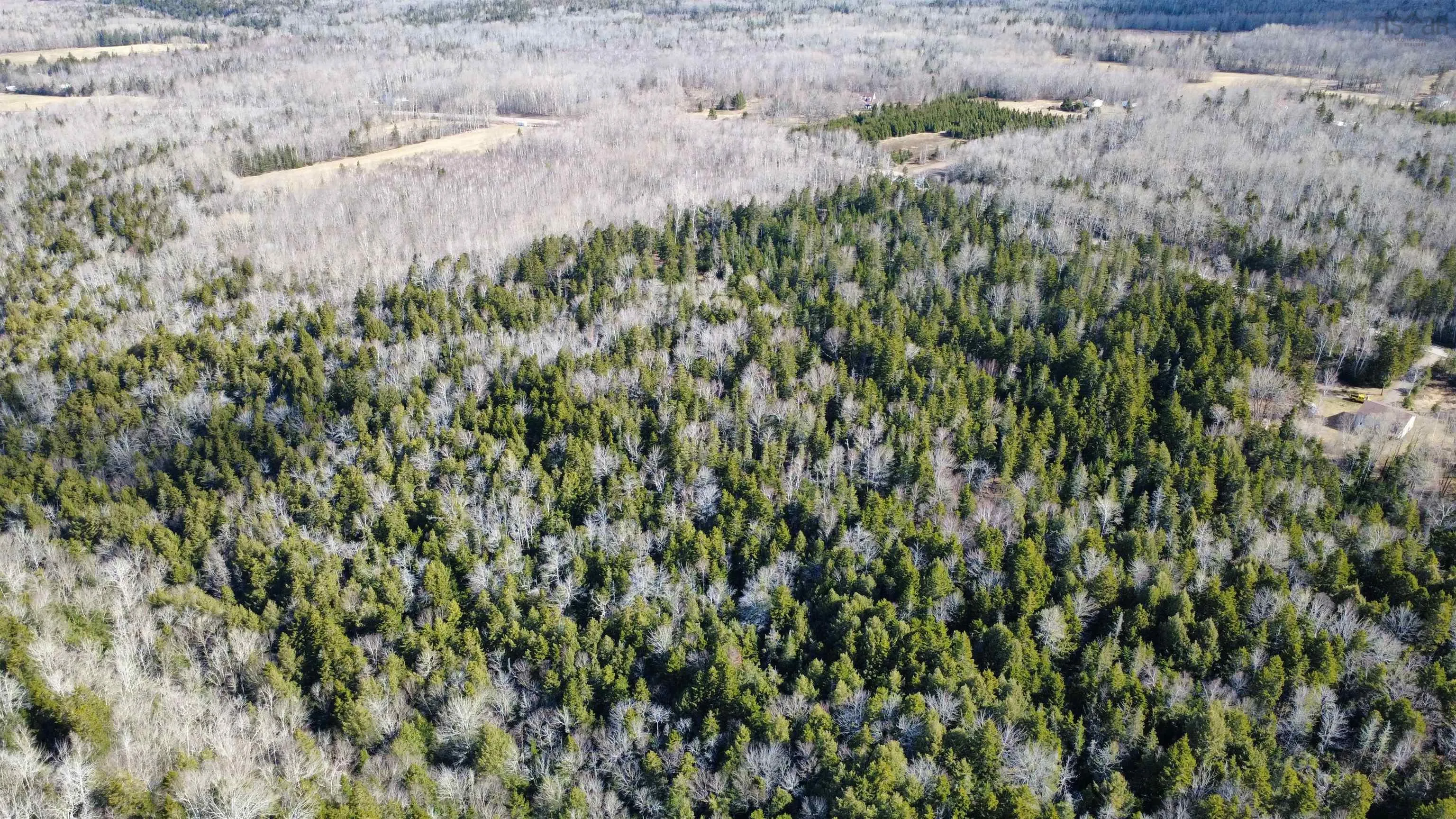 Highway 360 Lot 5, Garland, NS B0P 1E0, ,Land,For Sale,Highway 360,202520690