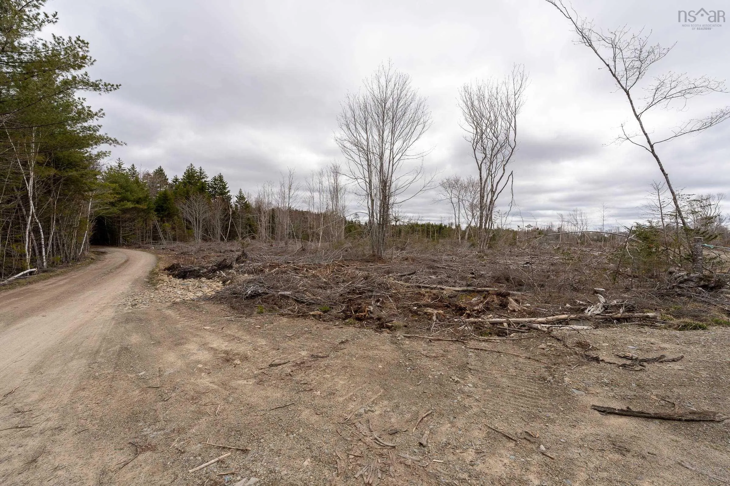 Lot 12 Patrice Road, Corberrie Ns B0w 3t0, ,Land,For Sale,Patrice Road,202509276
