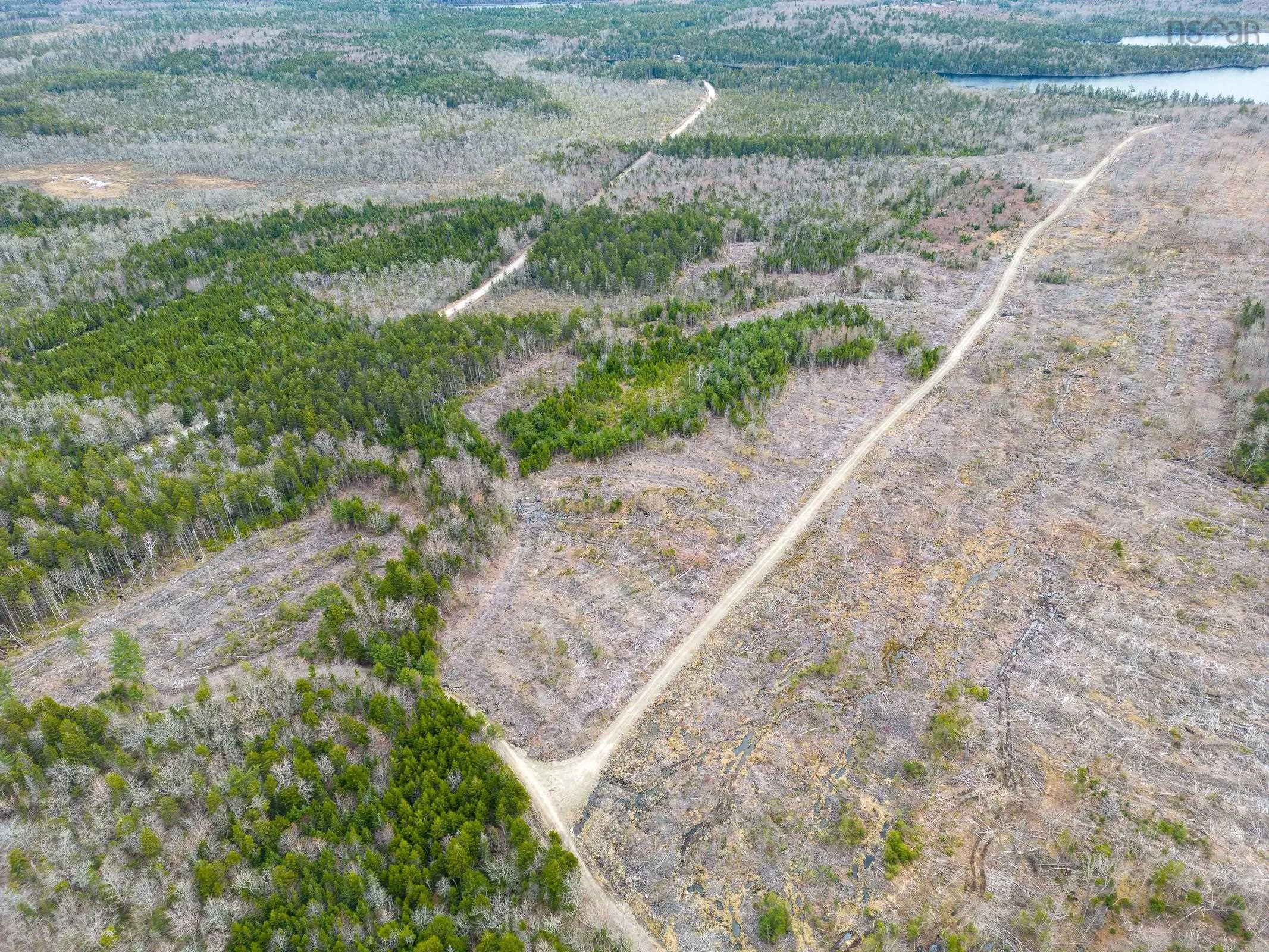 Lot 12 Patrice Road, Corberrie Ns B0w 3t0, ,Land,For Sale,Patrice Road,202509276