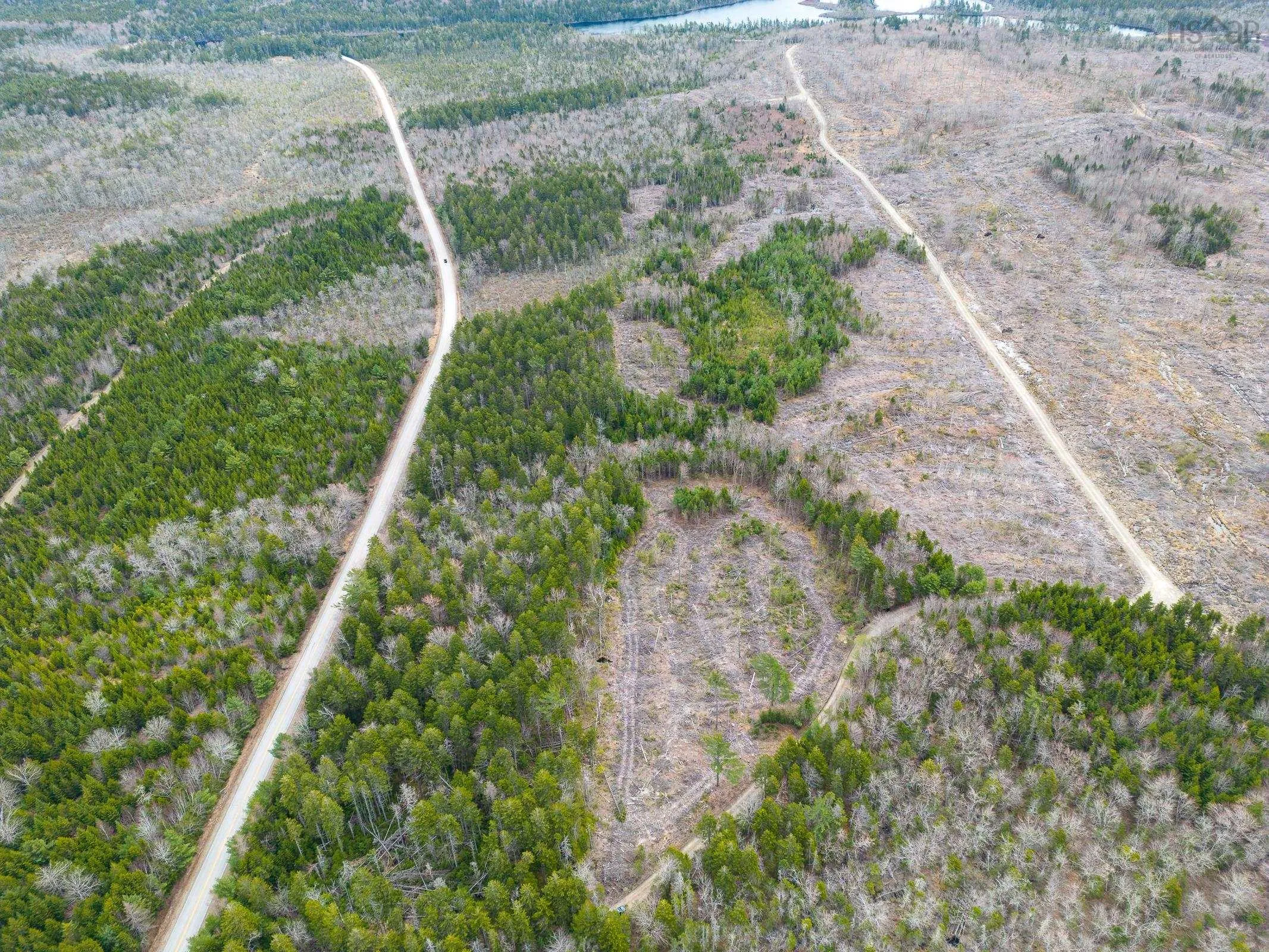 Lot 12 Patrice Road, Corberrie Ns B0w 3t0, ,Land,For Sale,Patrice Road,202509276