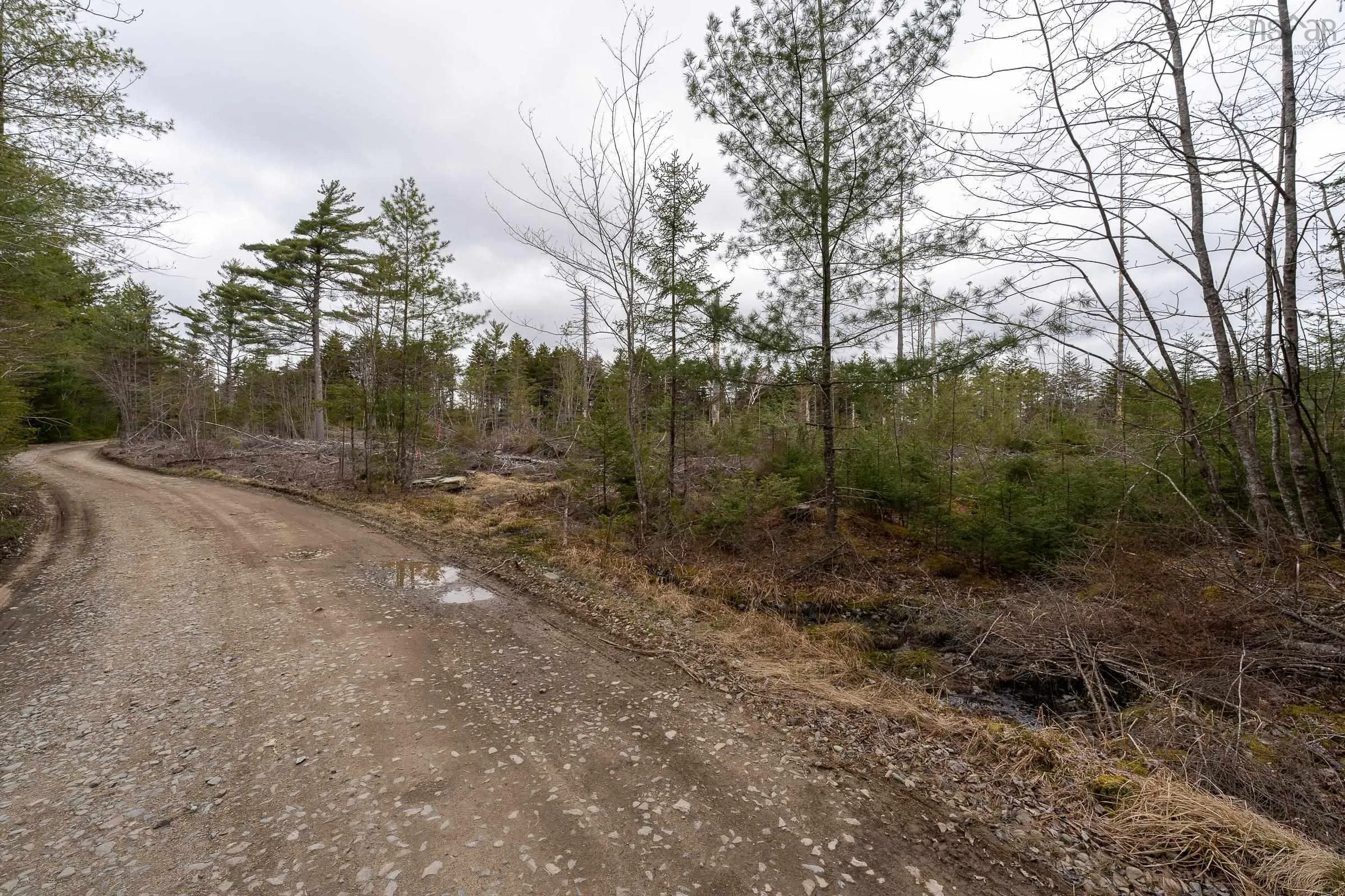 Lot 12 Patrice Road, Corberrie Ns B0w 3t0, ,Land,For Sale,Patrice Road,202509276