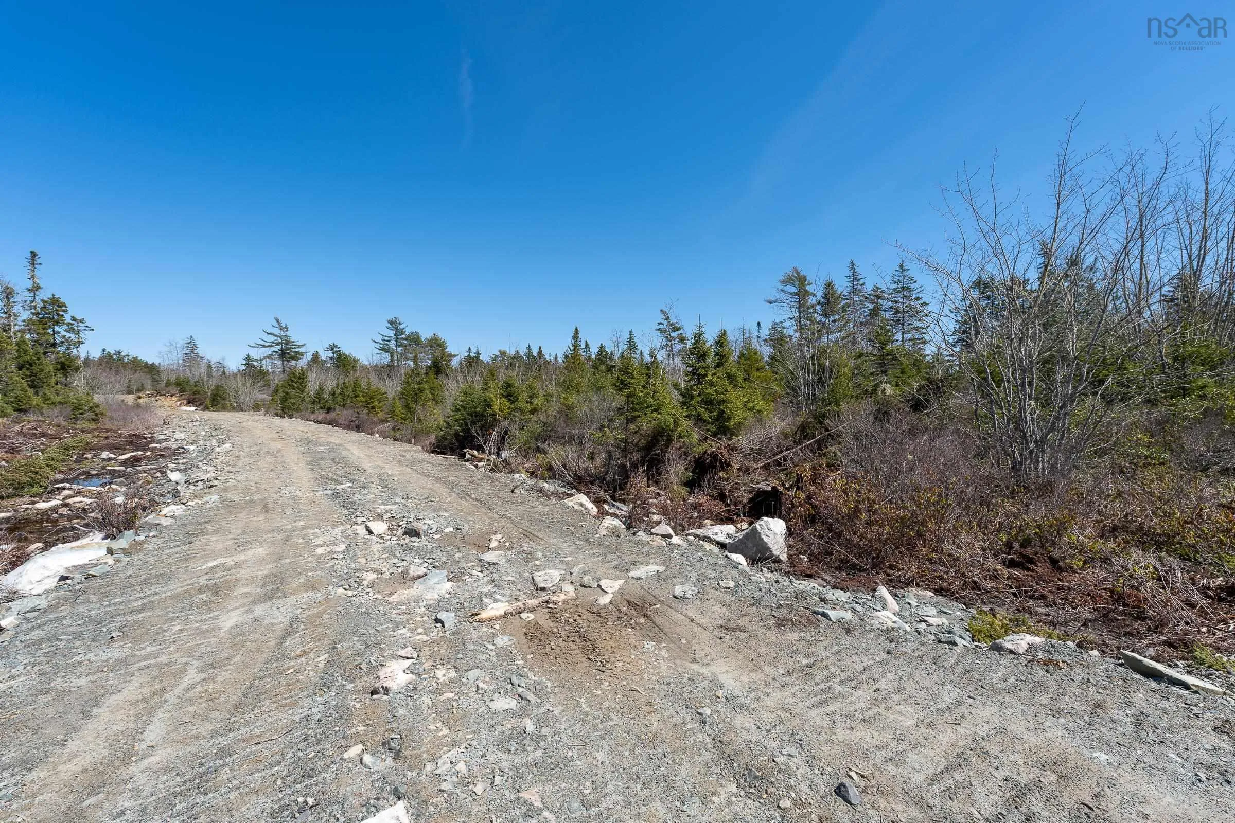 Lot 12 Patrice Road, Corberrie Ns B0w 3t0, ,Land,For Sale,Patrice Road,202509276