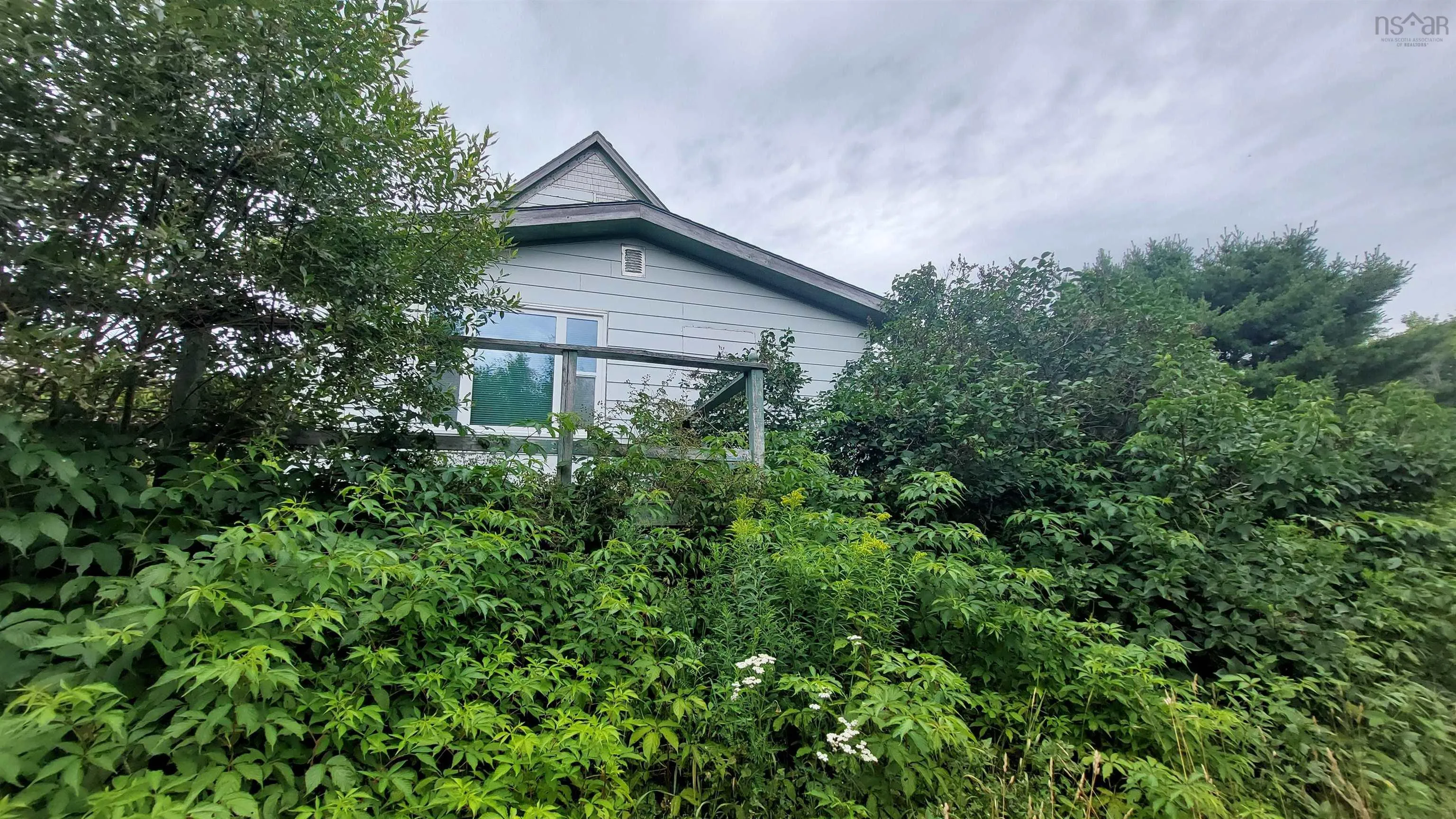 223 Lakeview Dr, Scotsville, NS B0E 3M0, ,Land,For Sale,Lakeview Dr,202518821