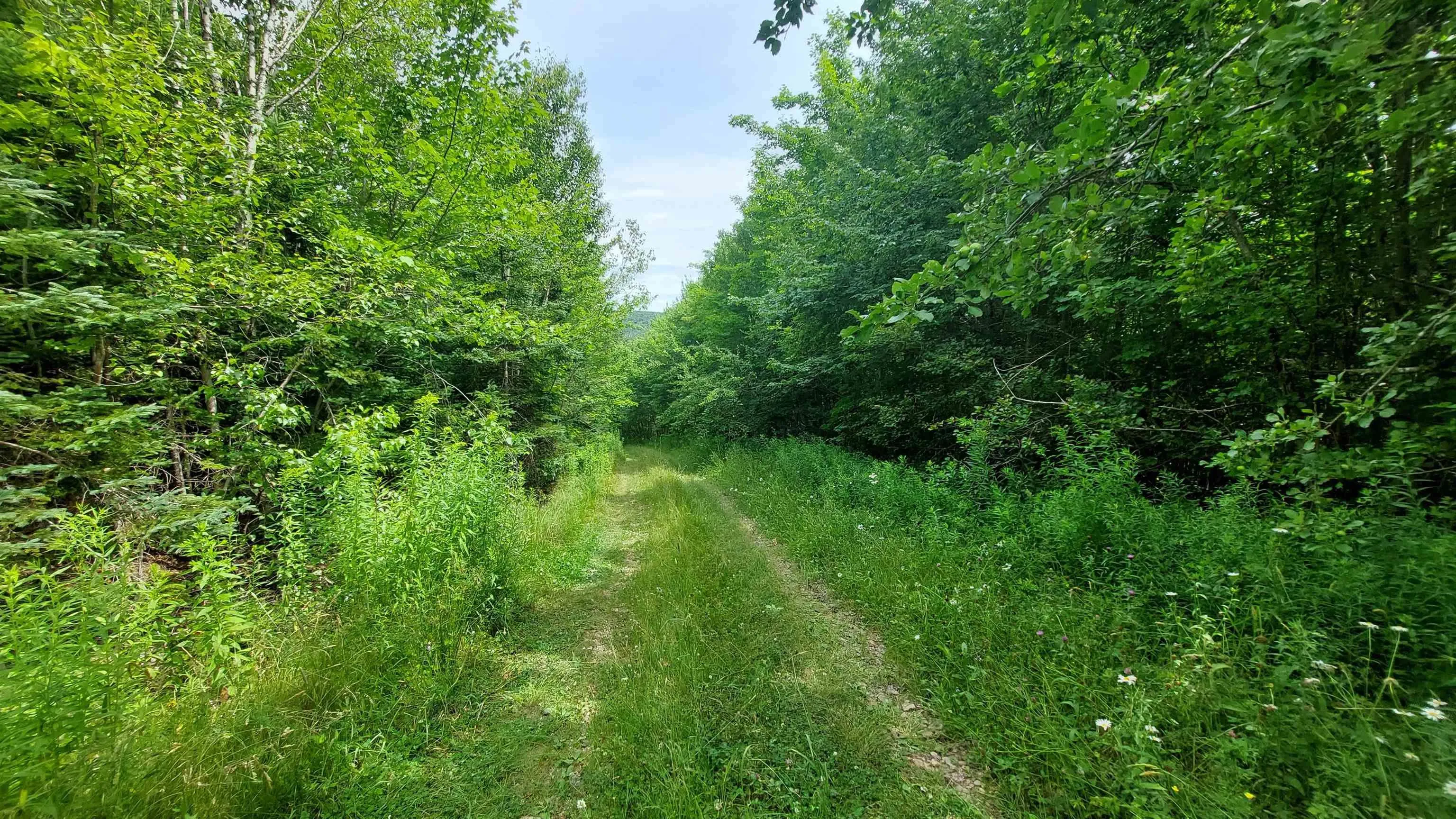 223 Lakeview Dr, Scotsville, NS B0E 3M0, ,Land,For Sale,Lakeview Dr,202518821