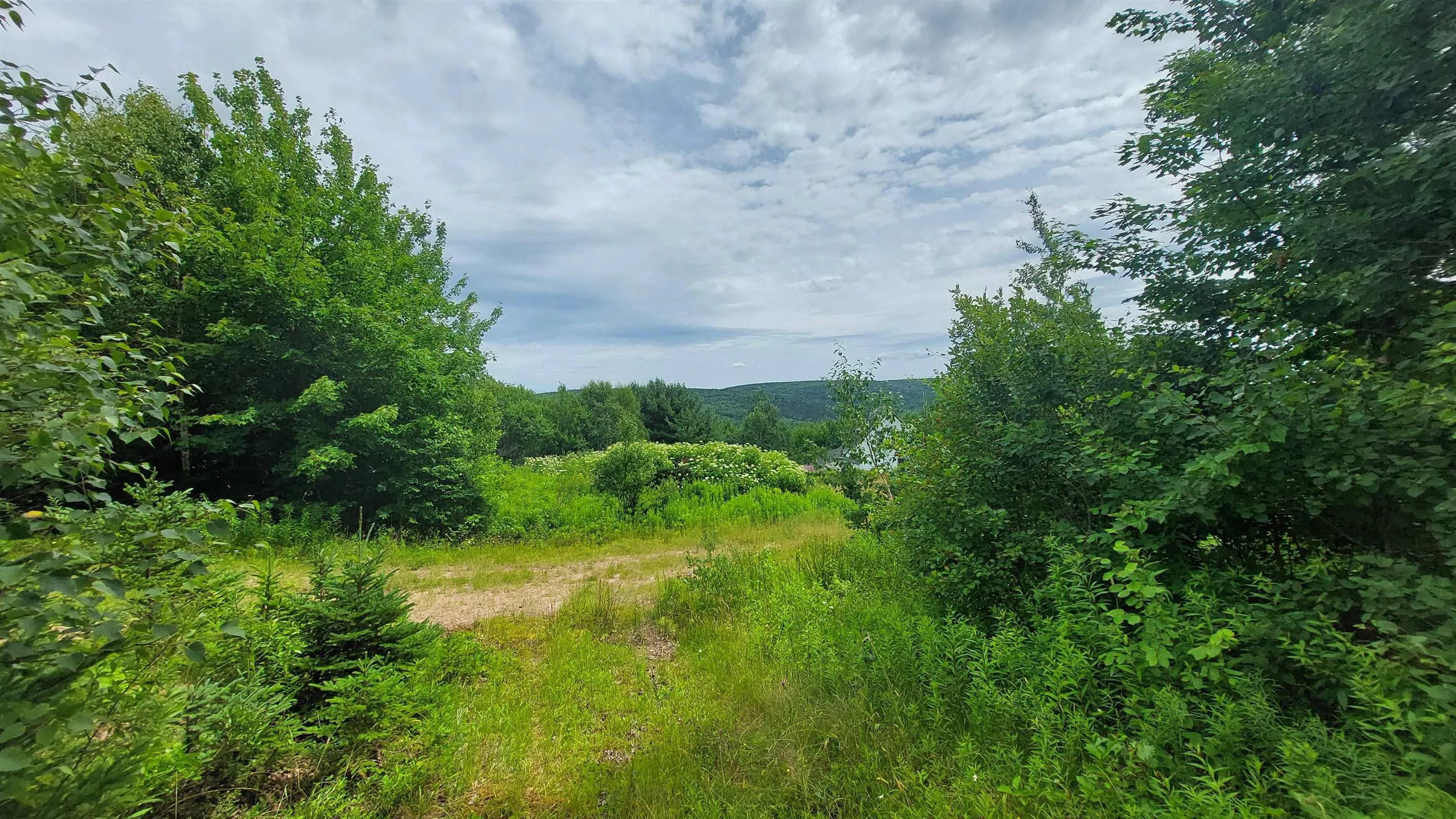 223 Lakeview Dr, Scotsville, NS B0E 3M0, ,Land,For Sale,Lakeview Dr,202518821