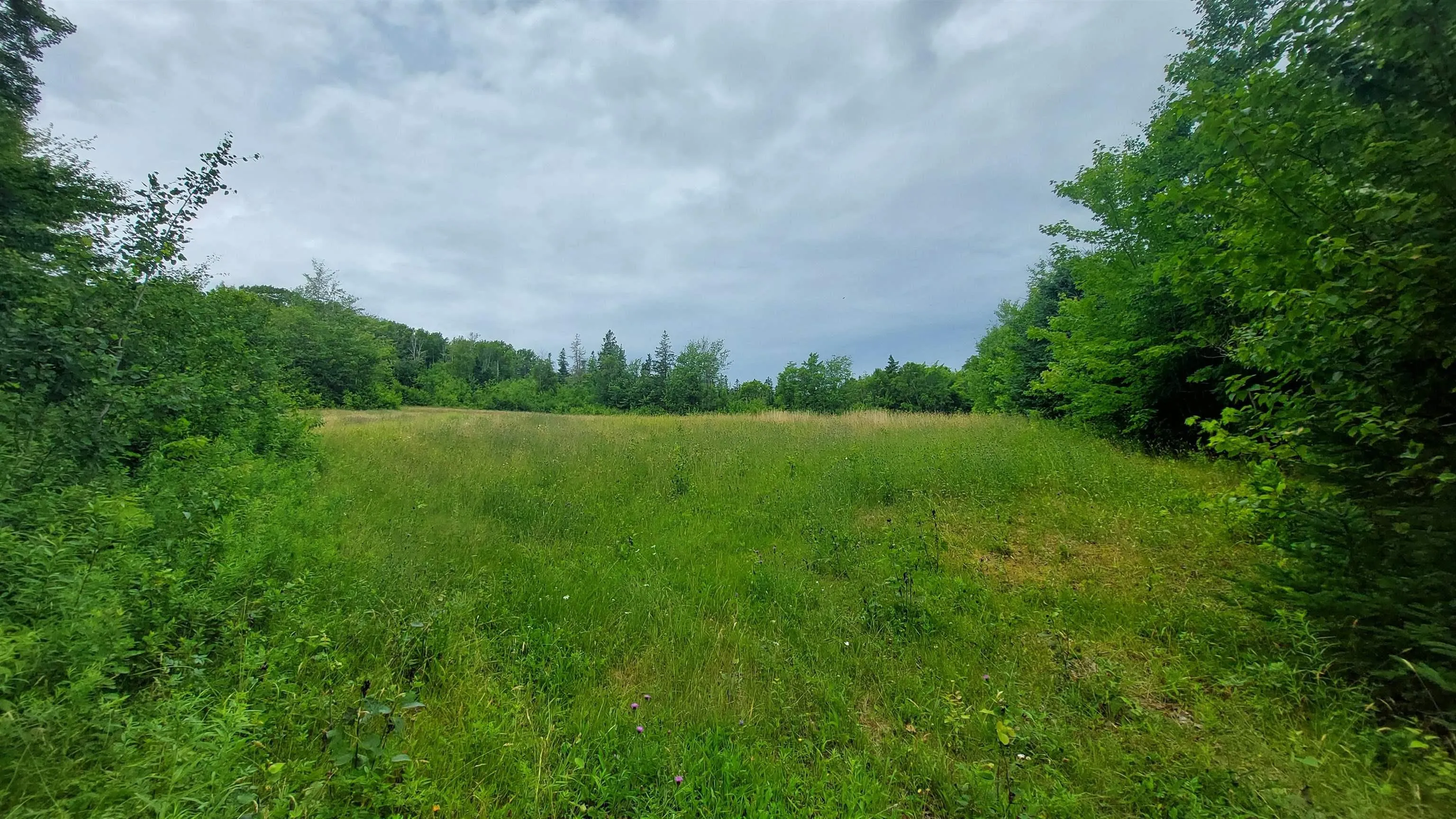 223 Lakeview Dr, Scotsville, NS B0E 3M0, ,Land,For Sale,Lakeview Dr,202518821
