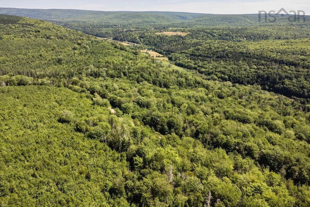 223 Lakeview Dr, Scotsville, NS B0E 3M0, ,Land,For Sale,Lakeview Dr,202518821